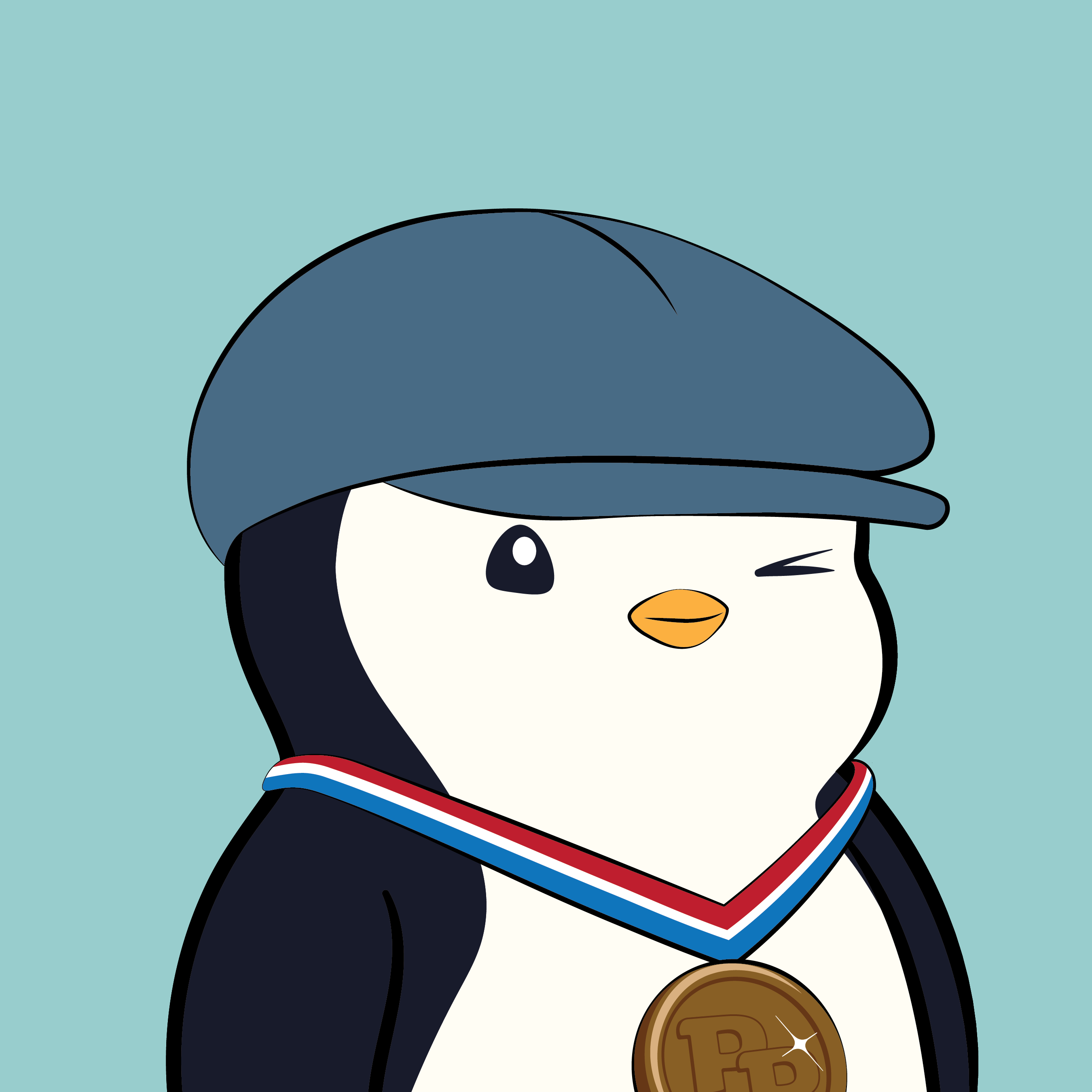 Pudgy Penguins - Pudgy Penguins - Pudgy Penguin #107 - NFT # 107