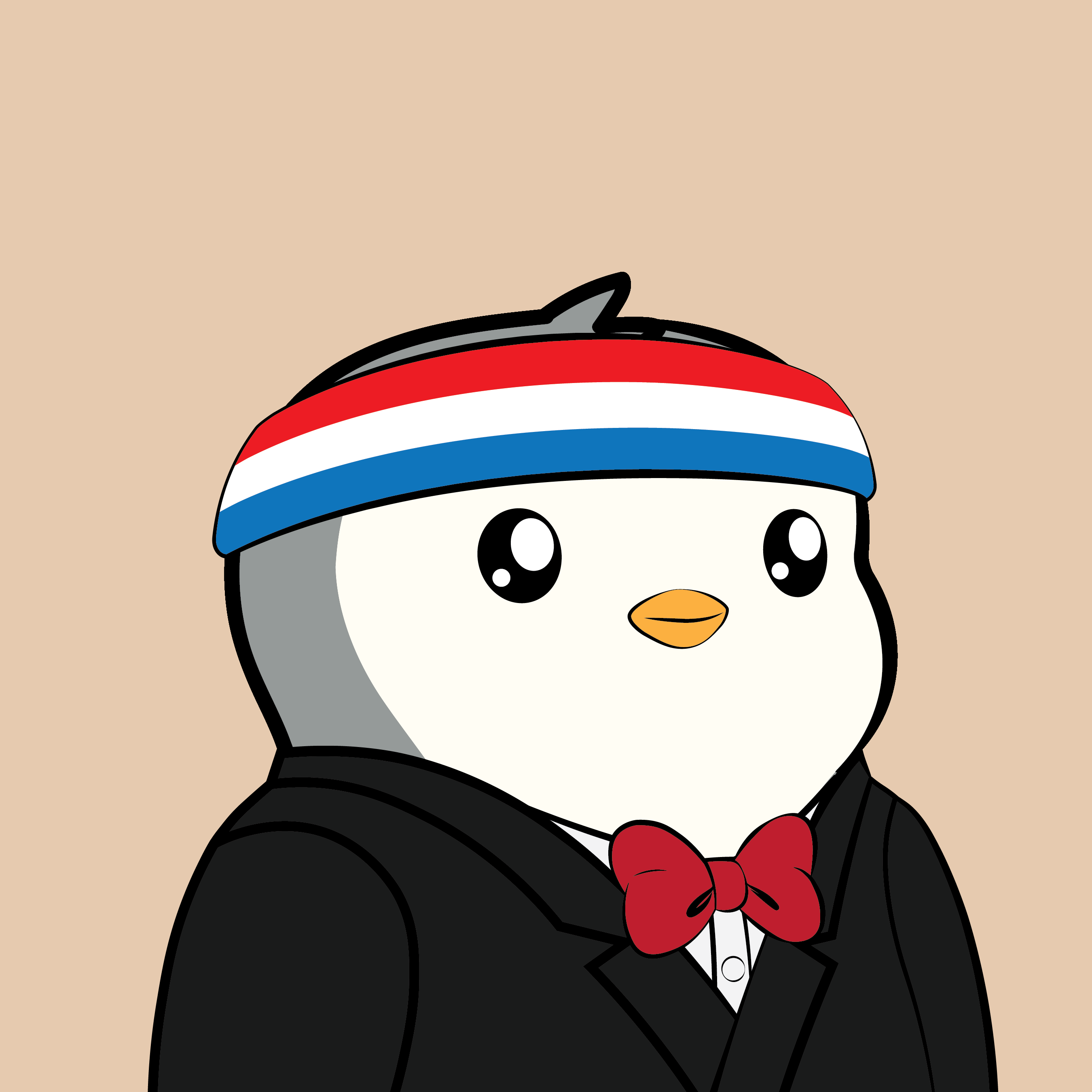 Pudgy Penguins - Pudgy Penguins - Pudgy Penguin #1234 - NFT # 1234