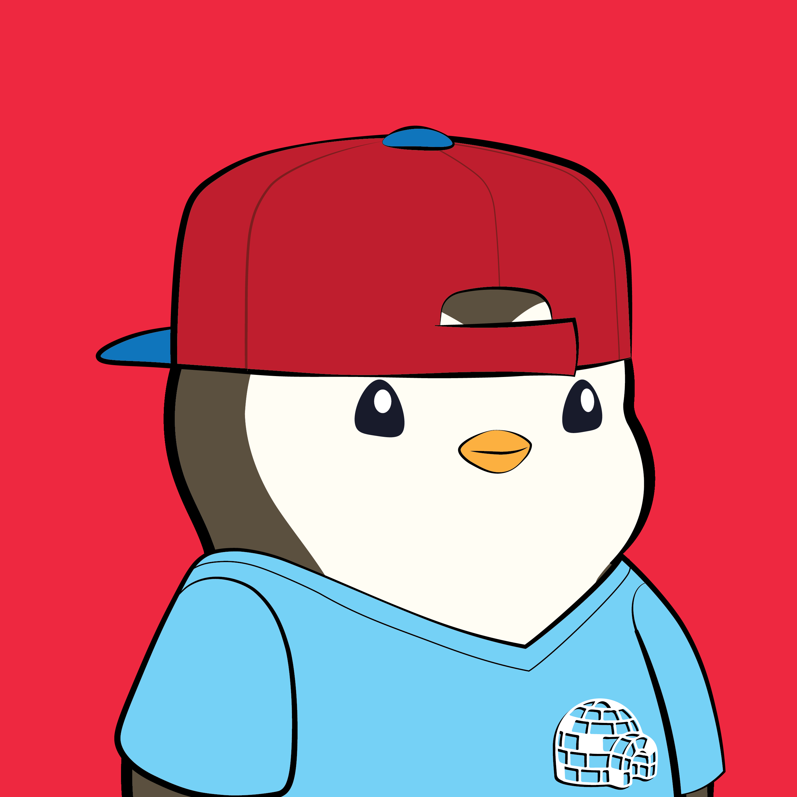 Pudgy Penguins - Pudgy Penguins - Pudgy Penguin #138 - NFT # 138