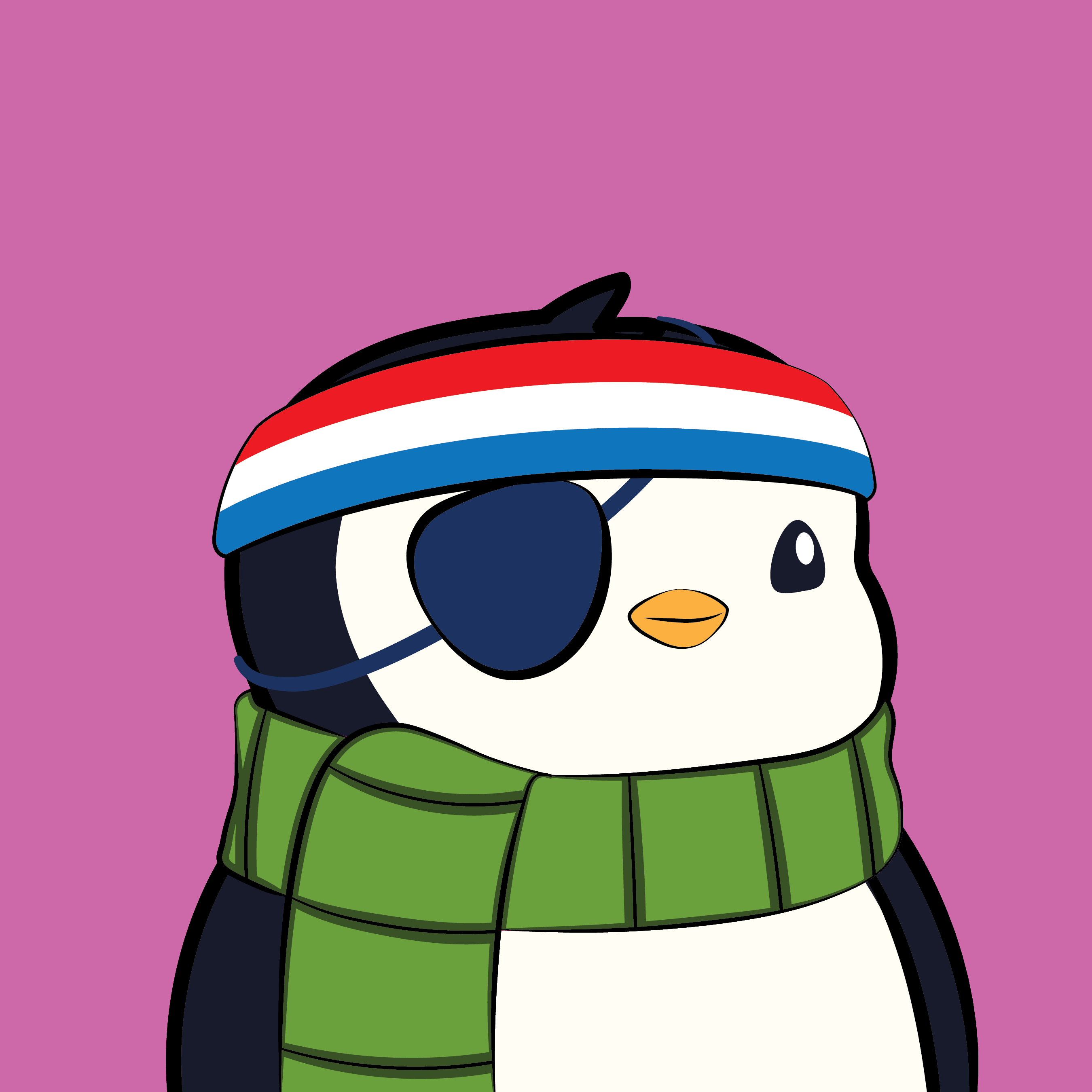 Pudgy Penguins - Pudgy Penguins - Pudgy Penguin #153 - NFT # 153