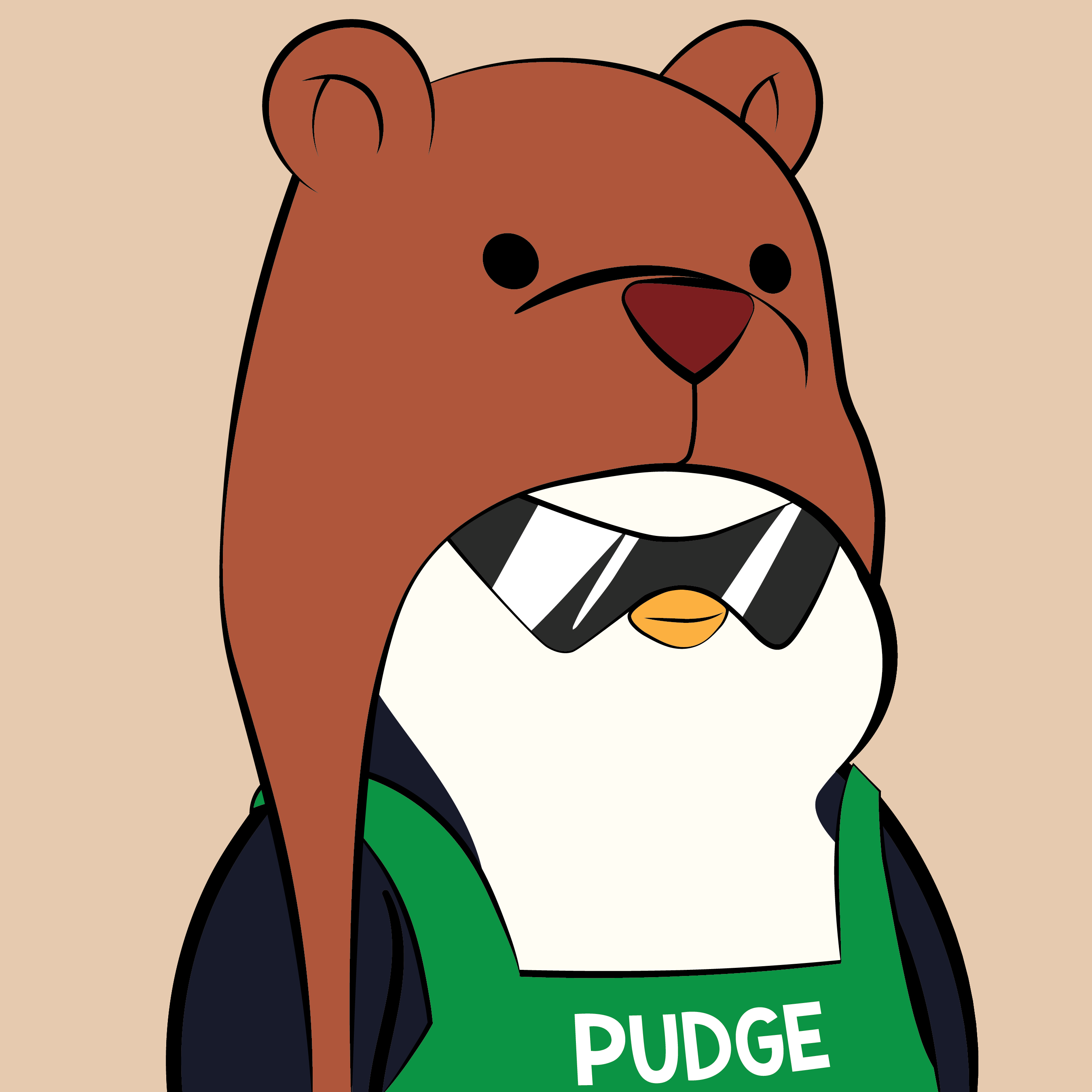 Pudgy Penguins - Pudgy Penguins - Pudgy Penguin #1719 - NFT # 1719