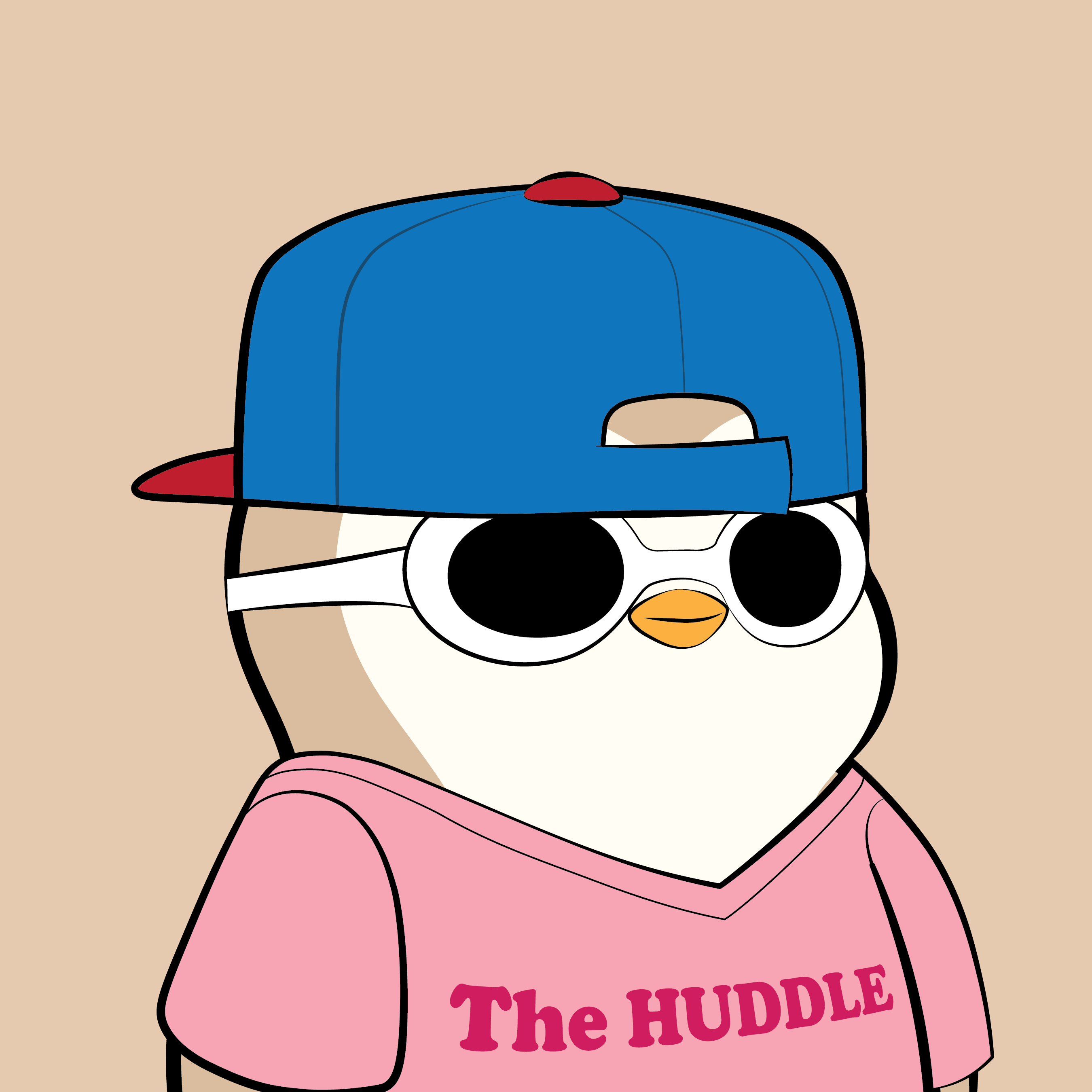 Pudgy Penguins - Pudgy Penguins - Pudgy Penguin #19 - NFT # 19