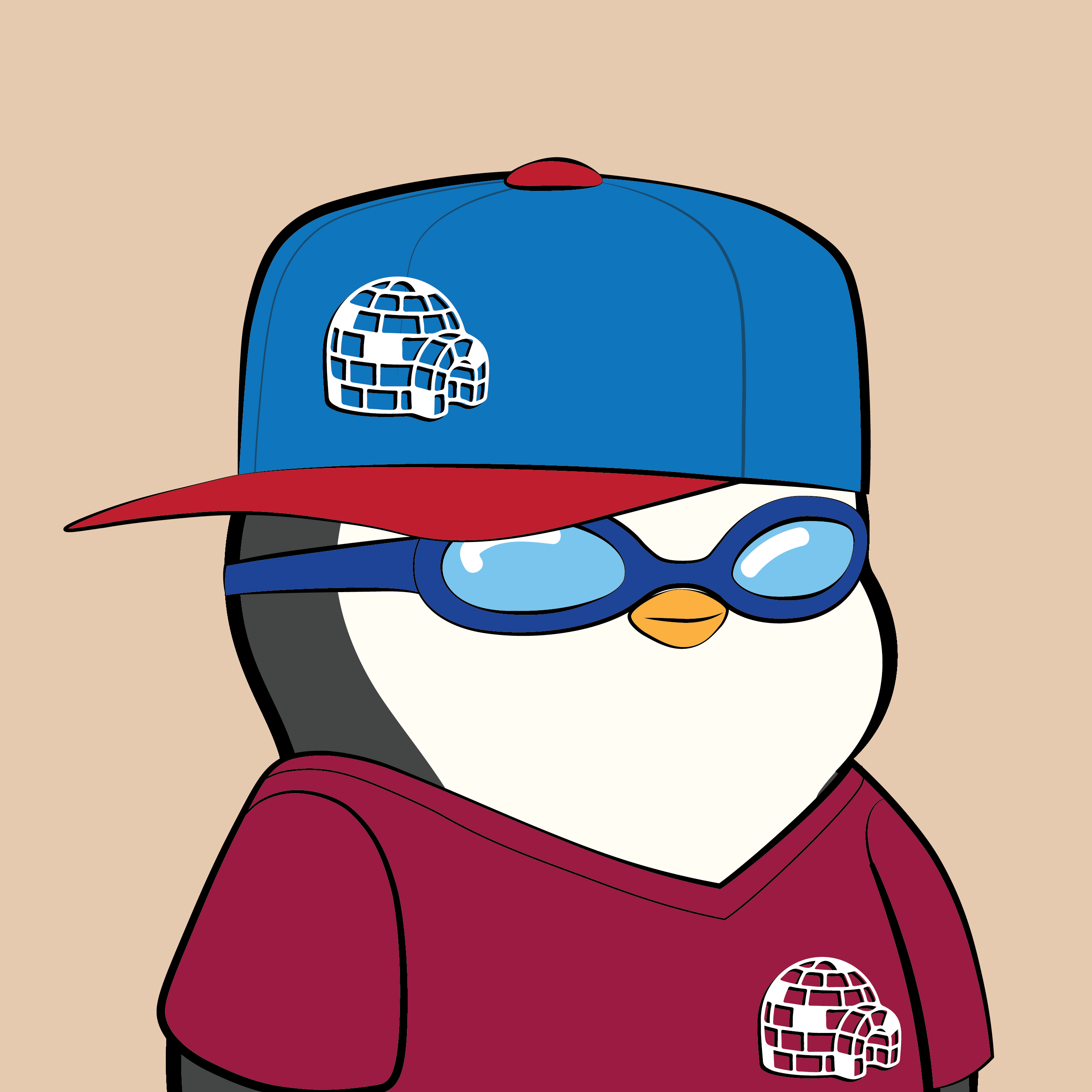 Pudgy Penguins - Pudgy Penguins - Pudgy Penguin #1916 - NFT # 1916