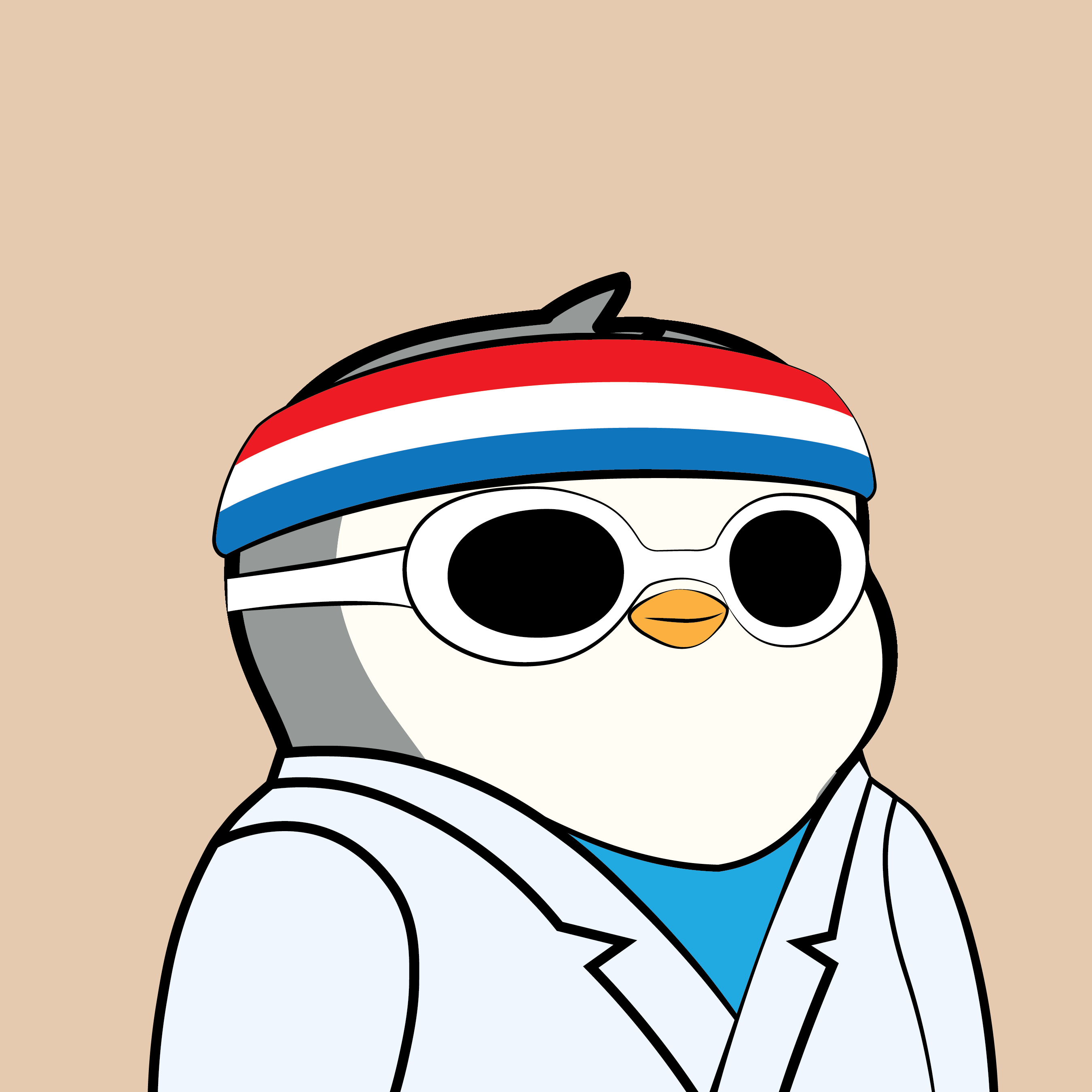 Pudgy Penguins - Pudgy Penguins - Pudgy Penguin #197 - NFT # 197