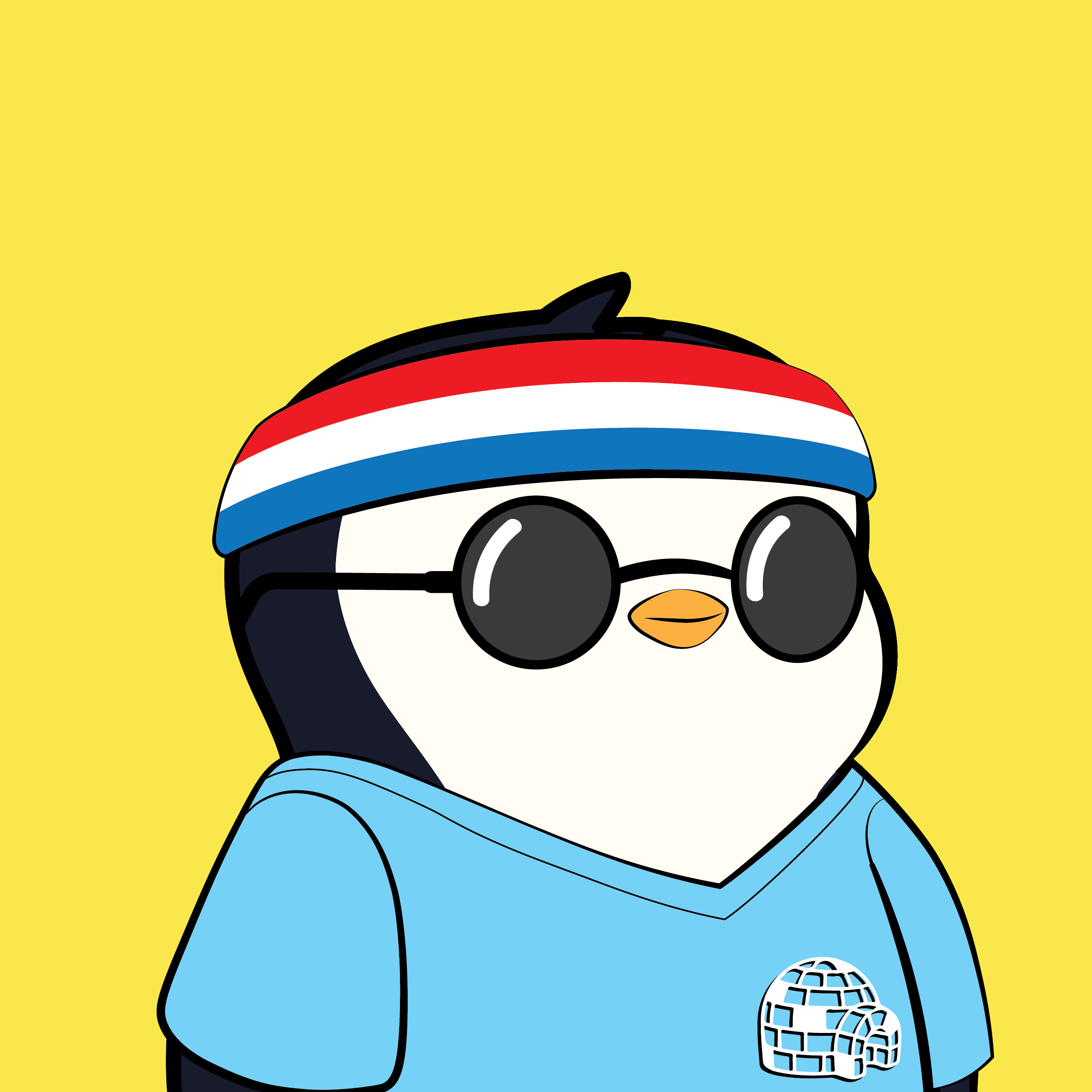 Pudgy Penguins - Pudgy Penguins - Pudgy Penguin #2049 - NFT # 2049