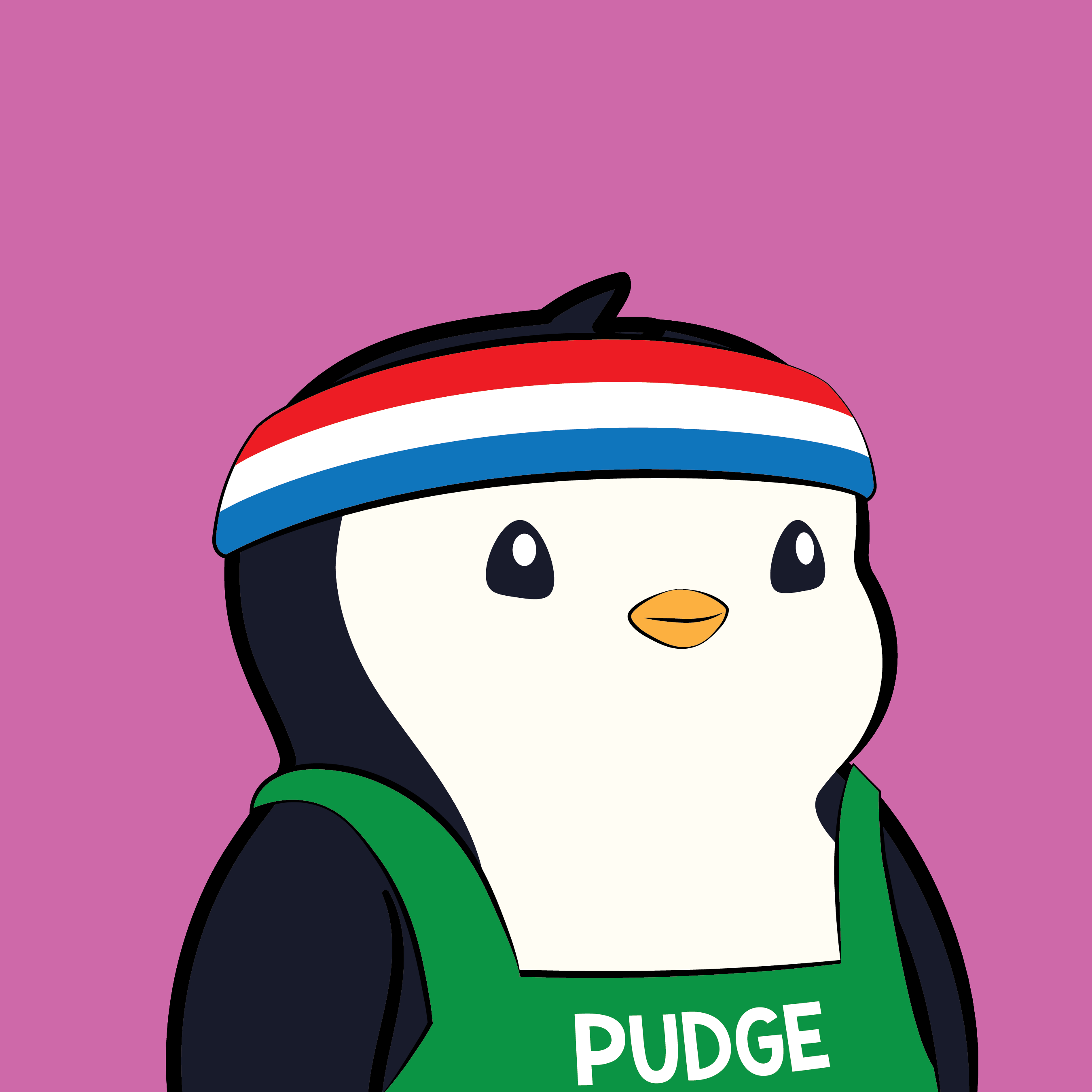 Pudgy Penguins - Pudgy Penguins - Pudgy Penguin #2061 - NFT # 2061