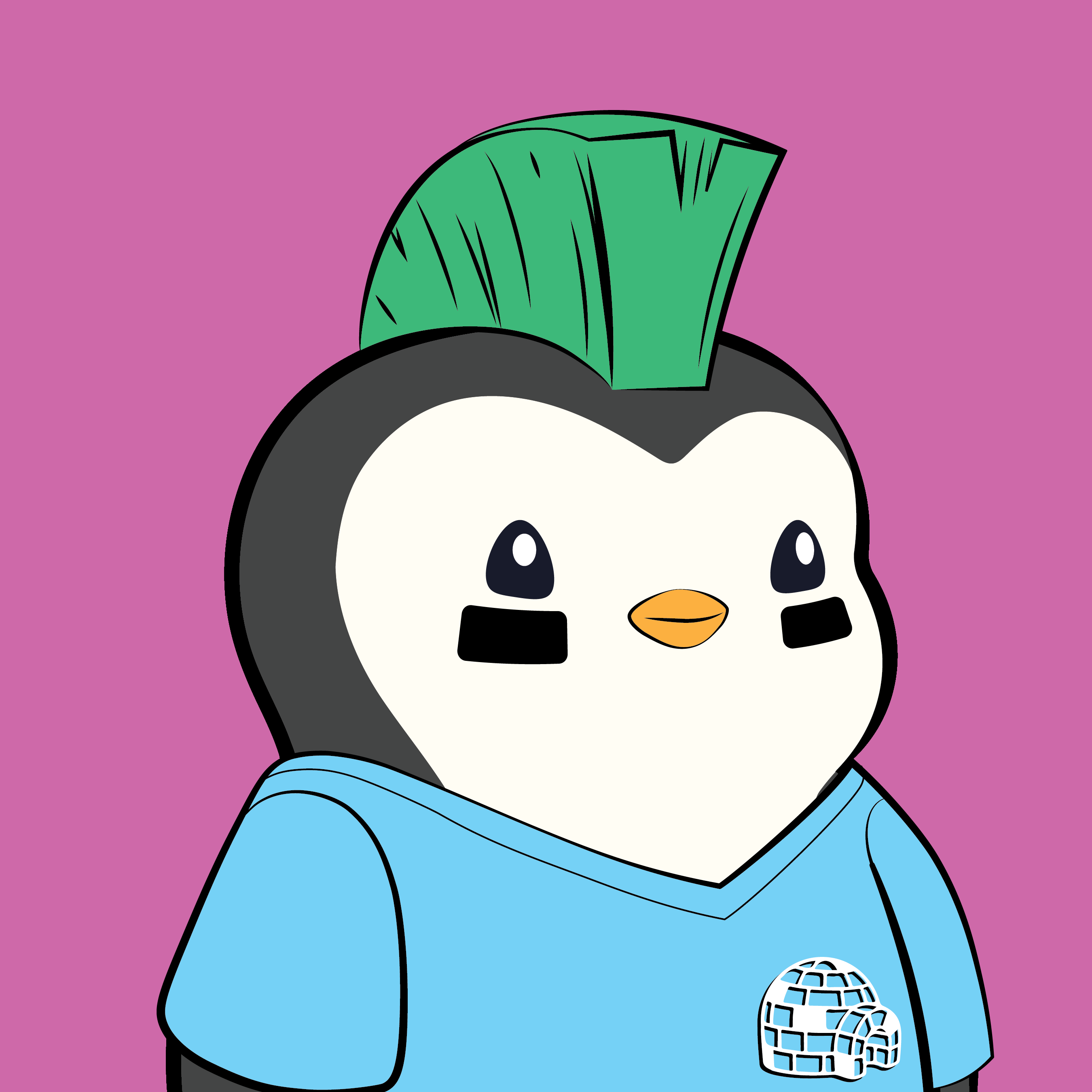 Pudgy Penguins - Pudgy Penguins - Pudgy Penguin #2064 - NFT # 2064