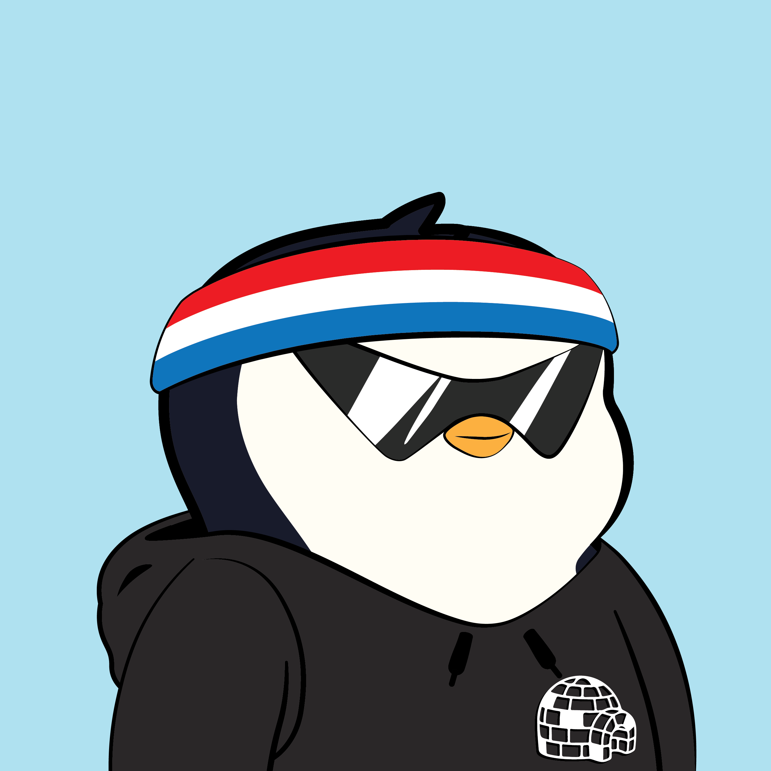Pudgy Penguins - Pudgy Penguins - Pudgy Penguin #2074 - NFT # 2074