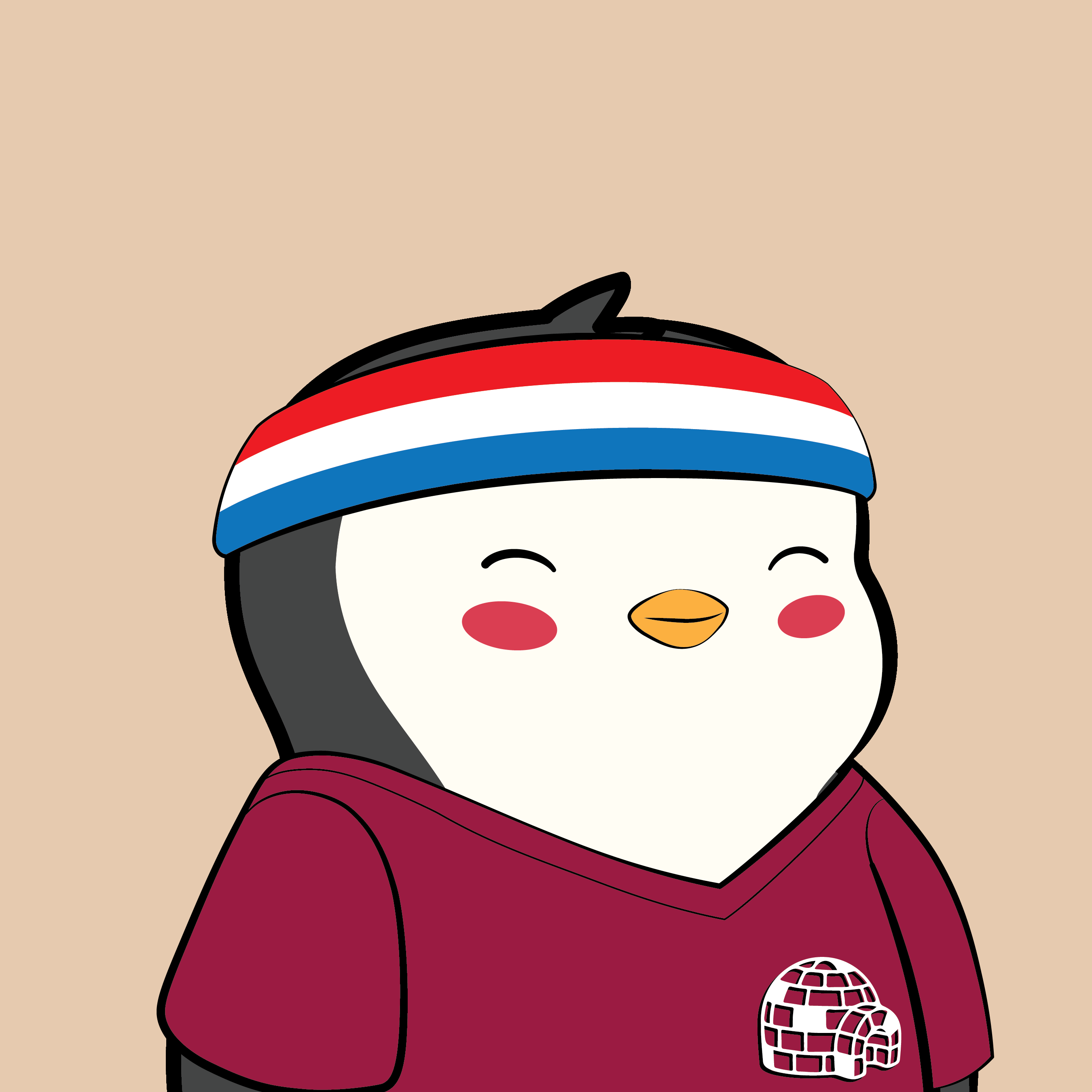 Pudgy Penguins - Pudgy Penguins - Pudgy Penguin #2147 - NFT # 2147
