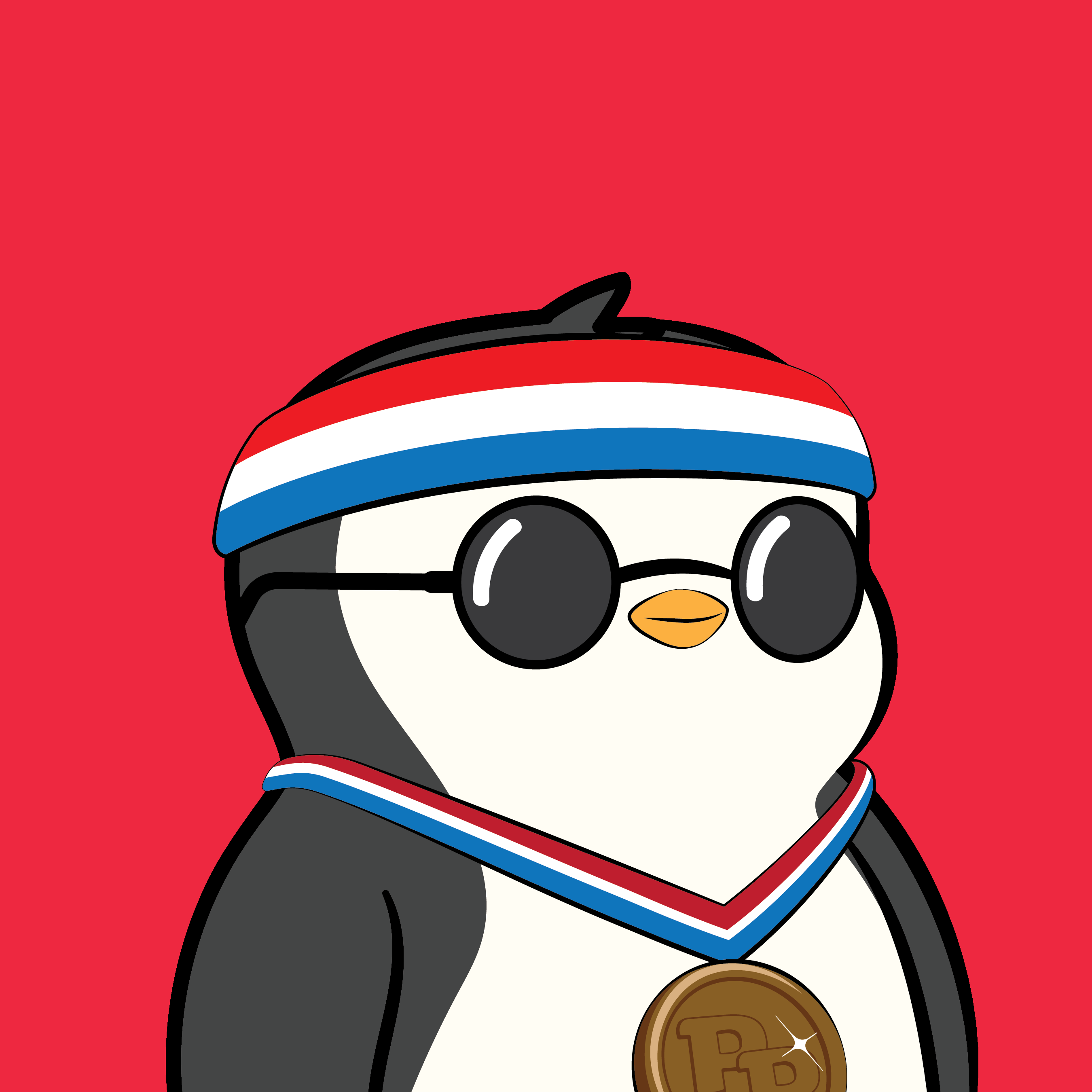 Pudgy Penguins - Pudgy Penguins - Pudgy Penguin #2214 - NFT # 2214