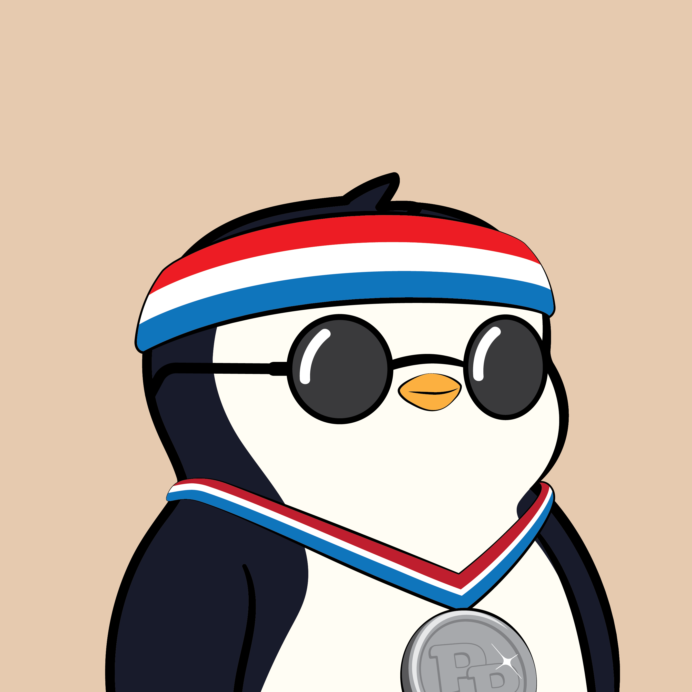 Pudgy Penguins - Pudgy Penguins - Pudgy Penguin #224 - NFT # 224