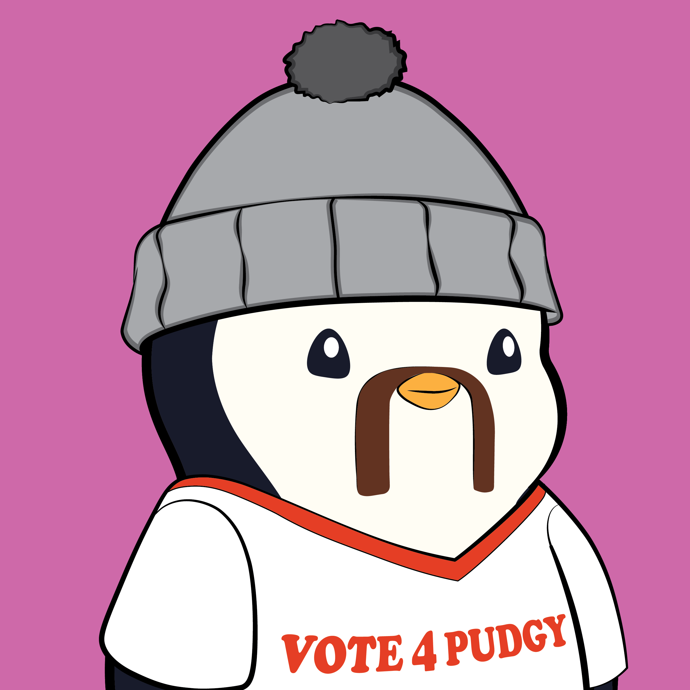 Pudgy Penguins - Pudgy Penguins - Pudgy Penguin #2314 - NFT # 2314