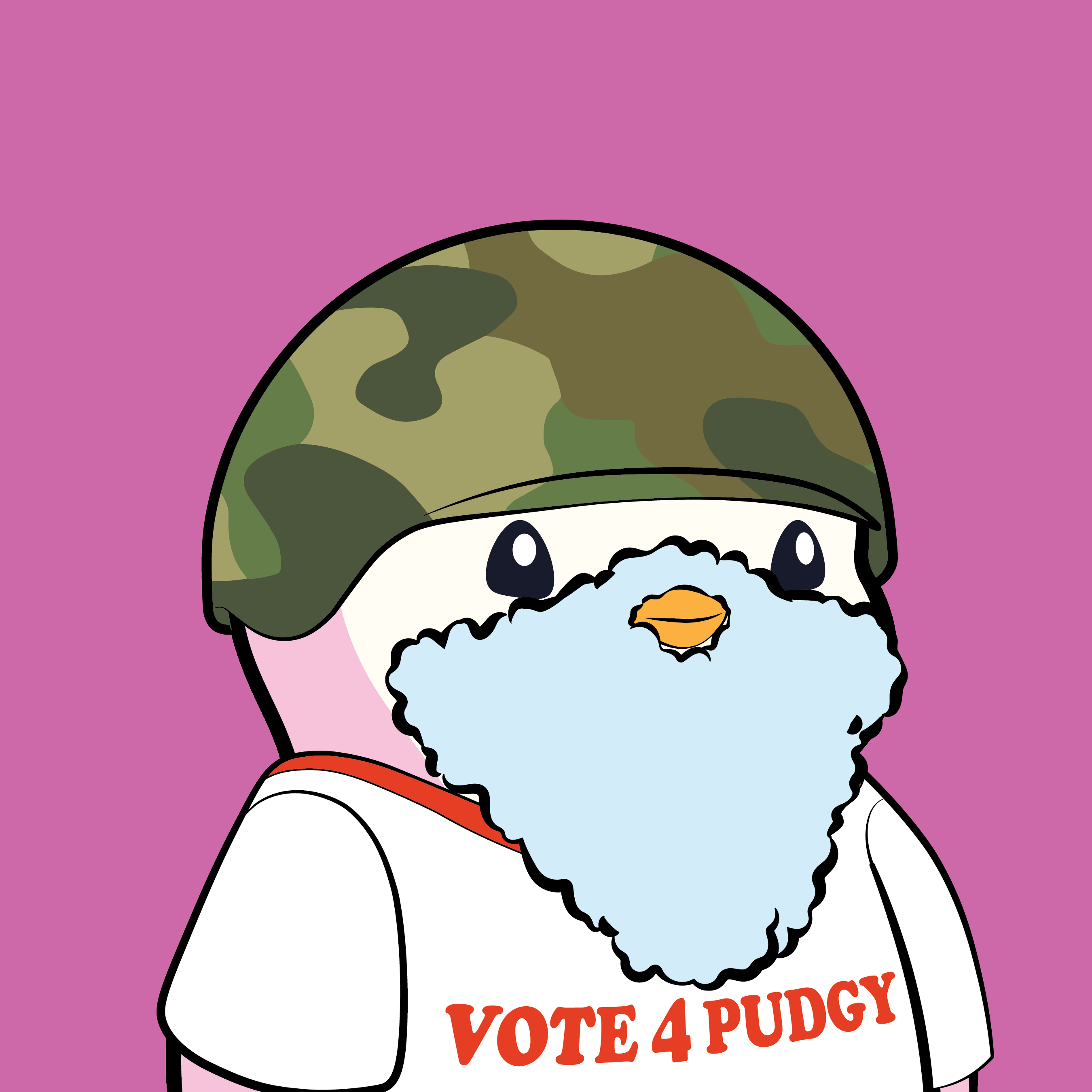 Pudgy Penguins - Pudgy Penguins - Pudgy Penguin #242 - NFT # 242