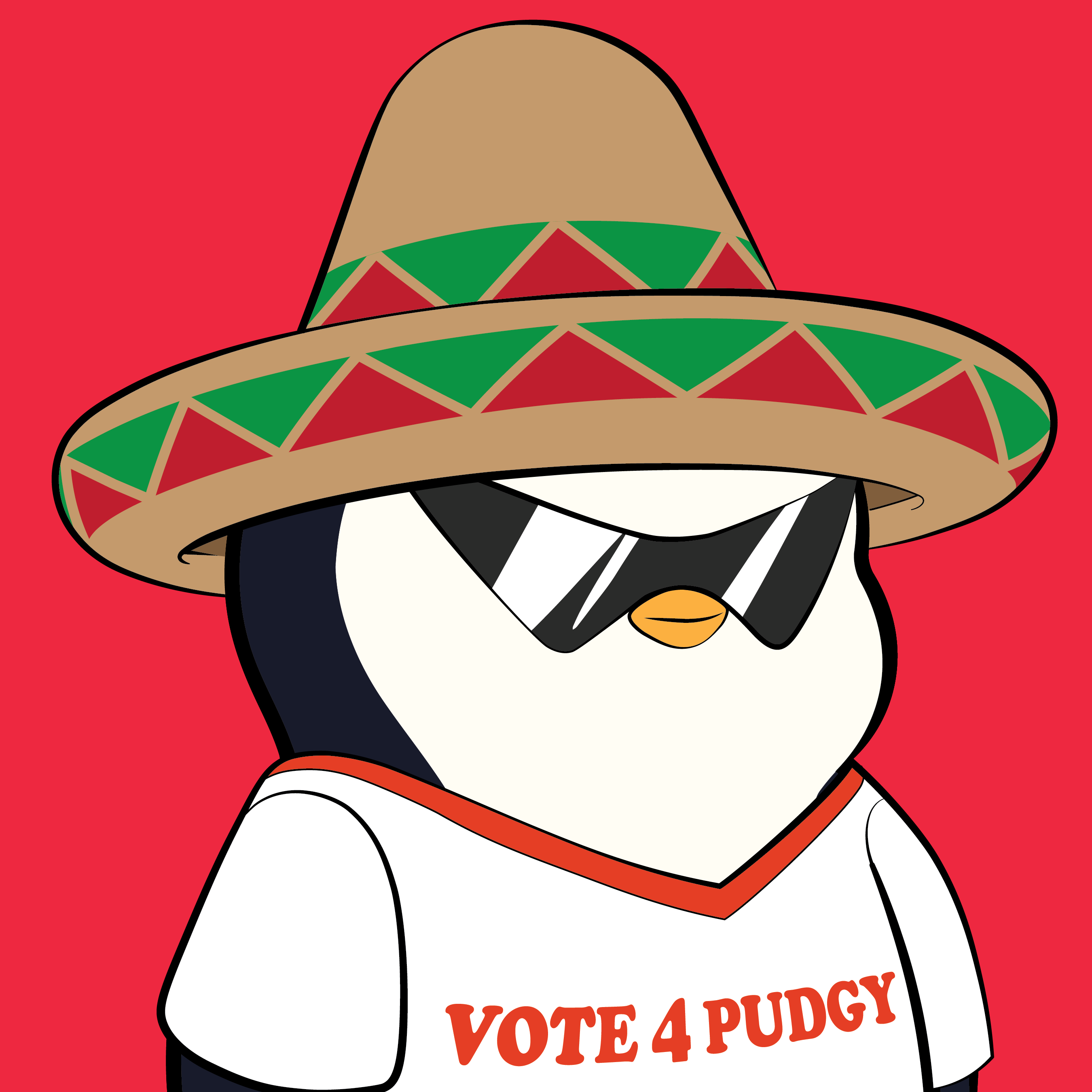 Pudgy Penguins - Pudgy Penguins - Pudgy Penguin #2436 - NFT # 2436