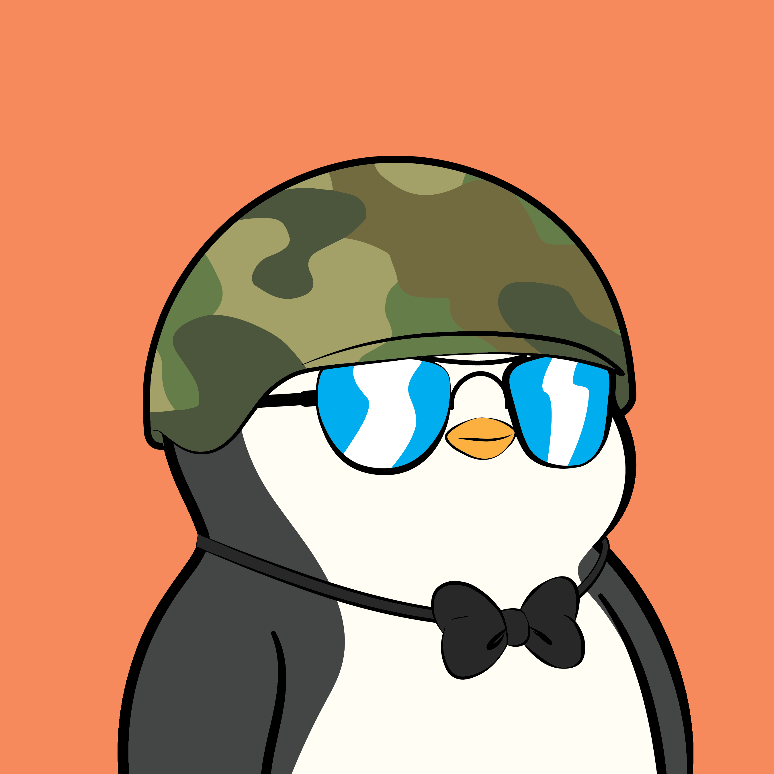 Pudgy Penguins - Pudgy Penguins - Pudgy Penguin #2493 - NFT # 2493