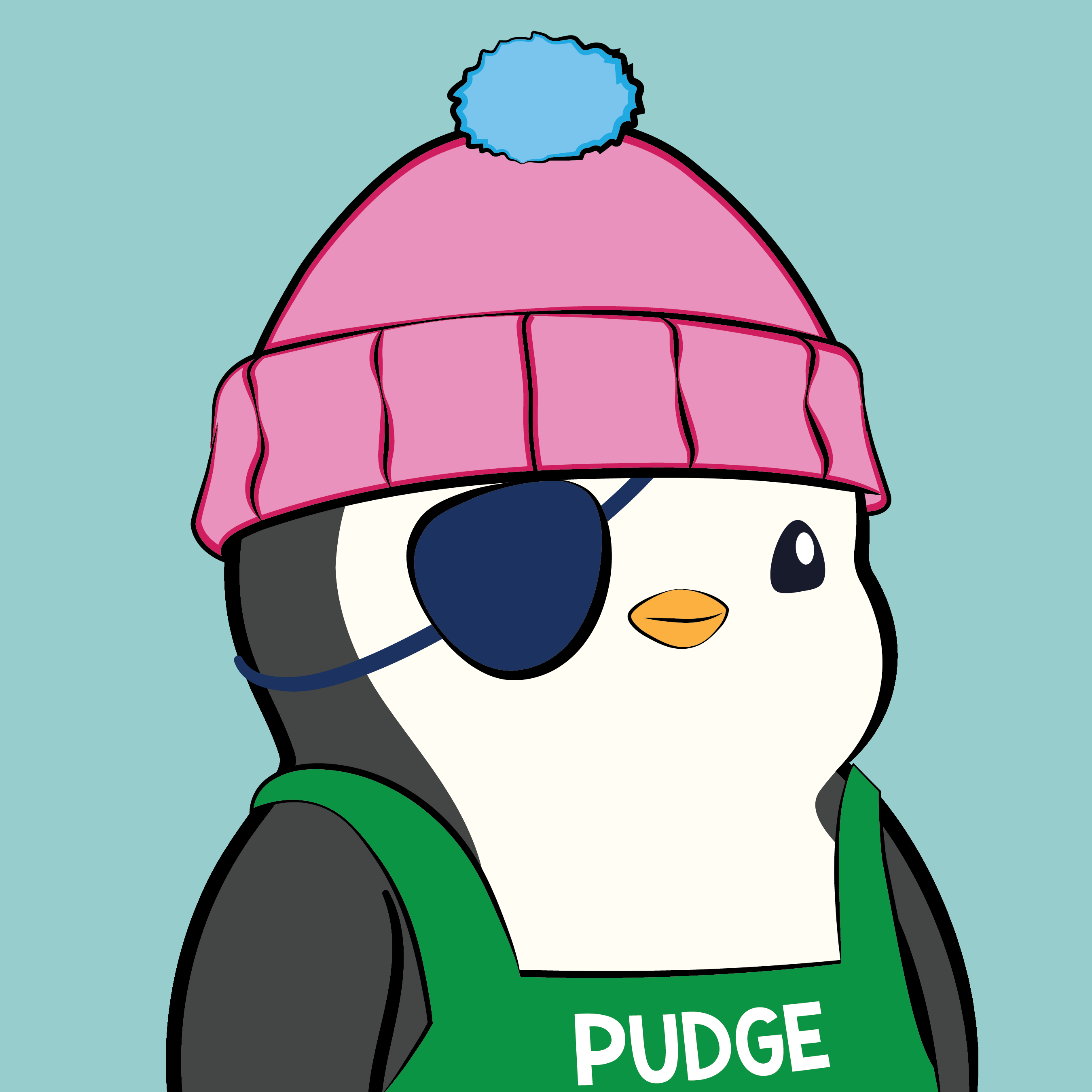 Pudgy Penguins - Pudgy Penguins - Pudgy Penguin #2510 - NFT # 2510