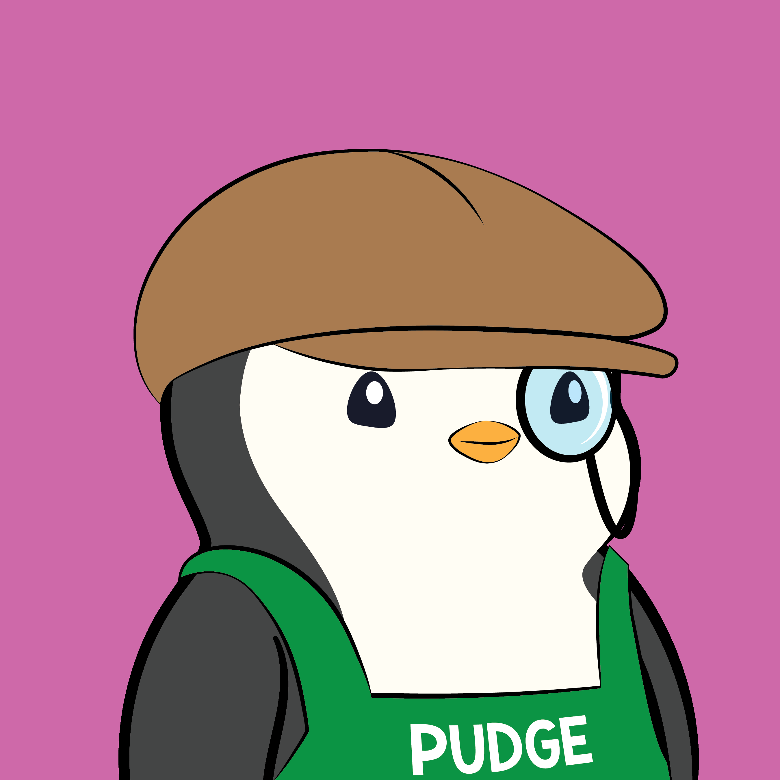 Pudgy Penguins - Pudgy Penguins - Pudgy Penguin #2675 - NFT # 2675