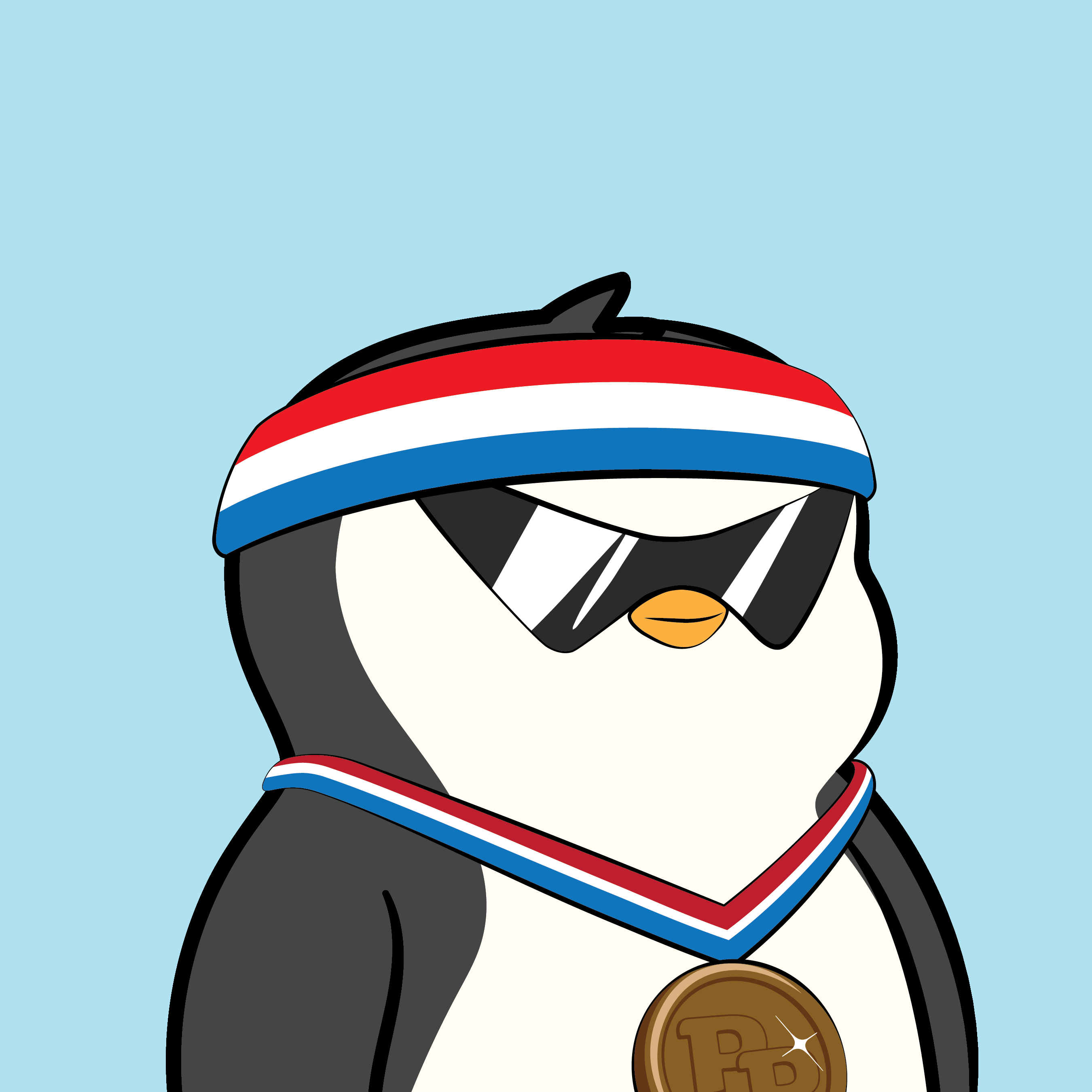 Pudgy Penguins - Pudgy Penguins - Pudgy Penguin #2717 - NFT # 2717