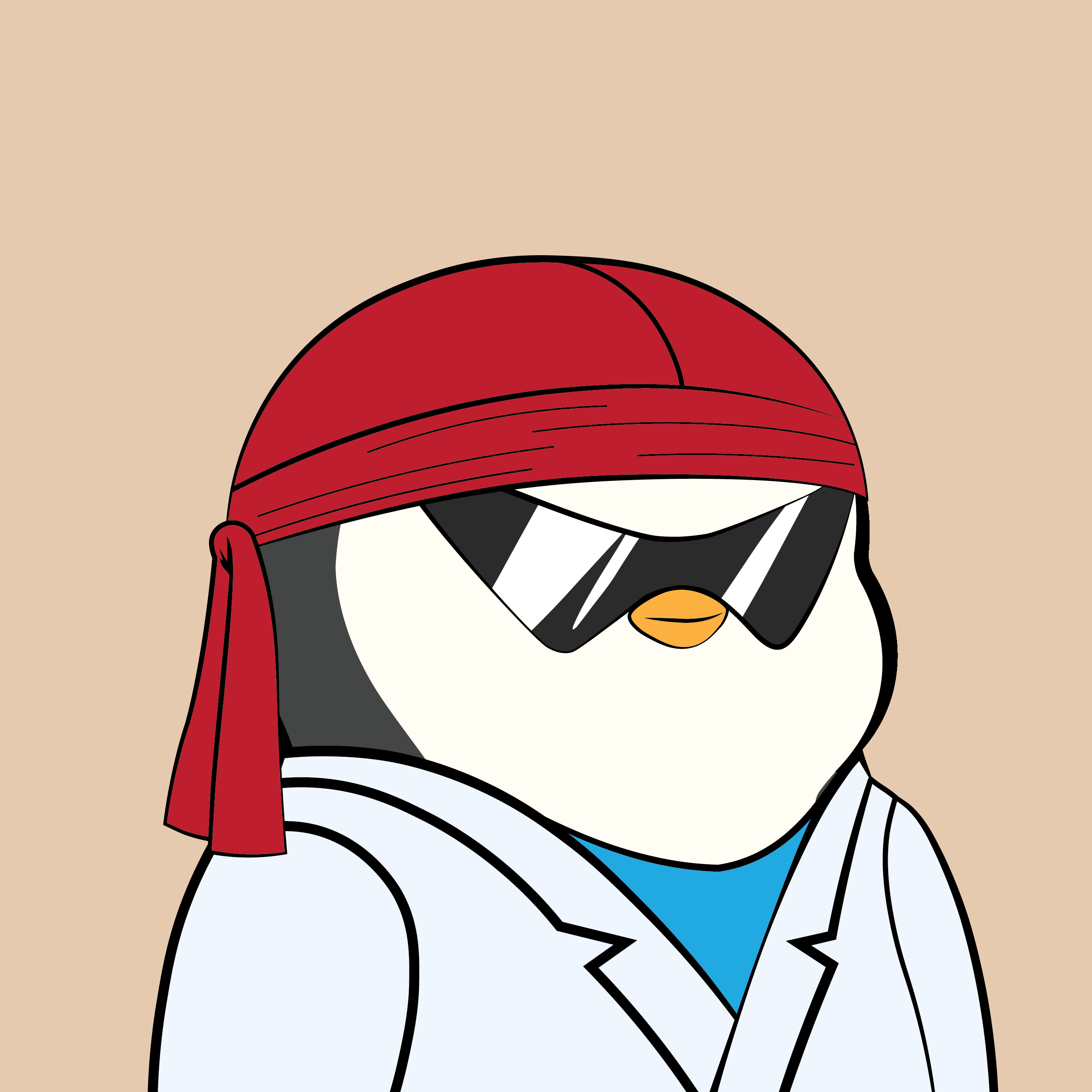 Pudgy Penguins - Pudgy Penguins - Pudgy Penguin #2762 - NFT # 2762