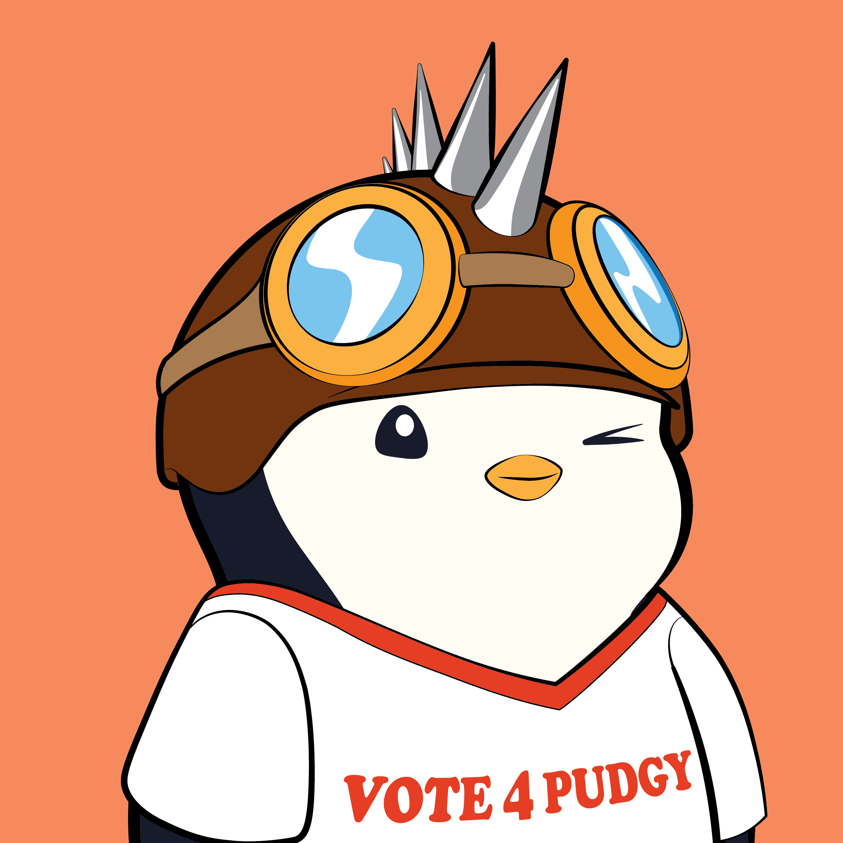 Pudgy Penguins - Pudgy Penguins - Pudgy Penguin #2843 - NFT # 2843