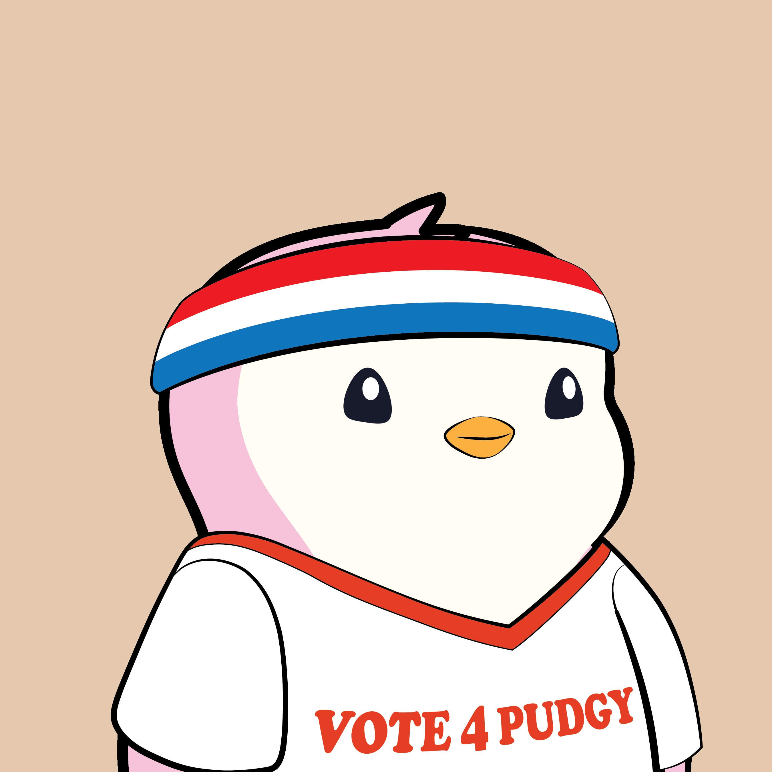 Pudgy Penguins - Pudgy Penguins - Pudgy Penguin #2858 - NFT # 2858