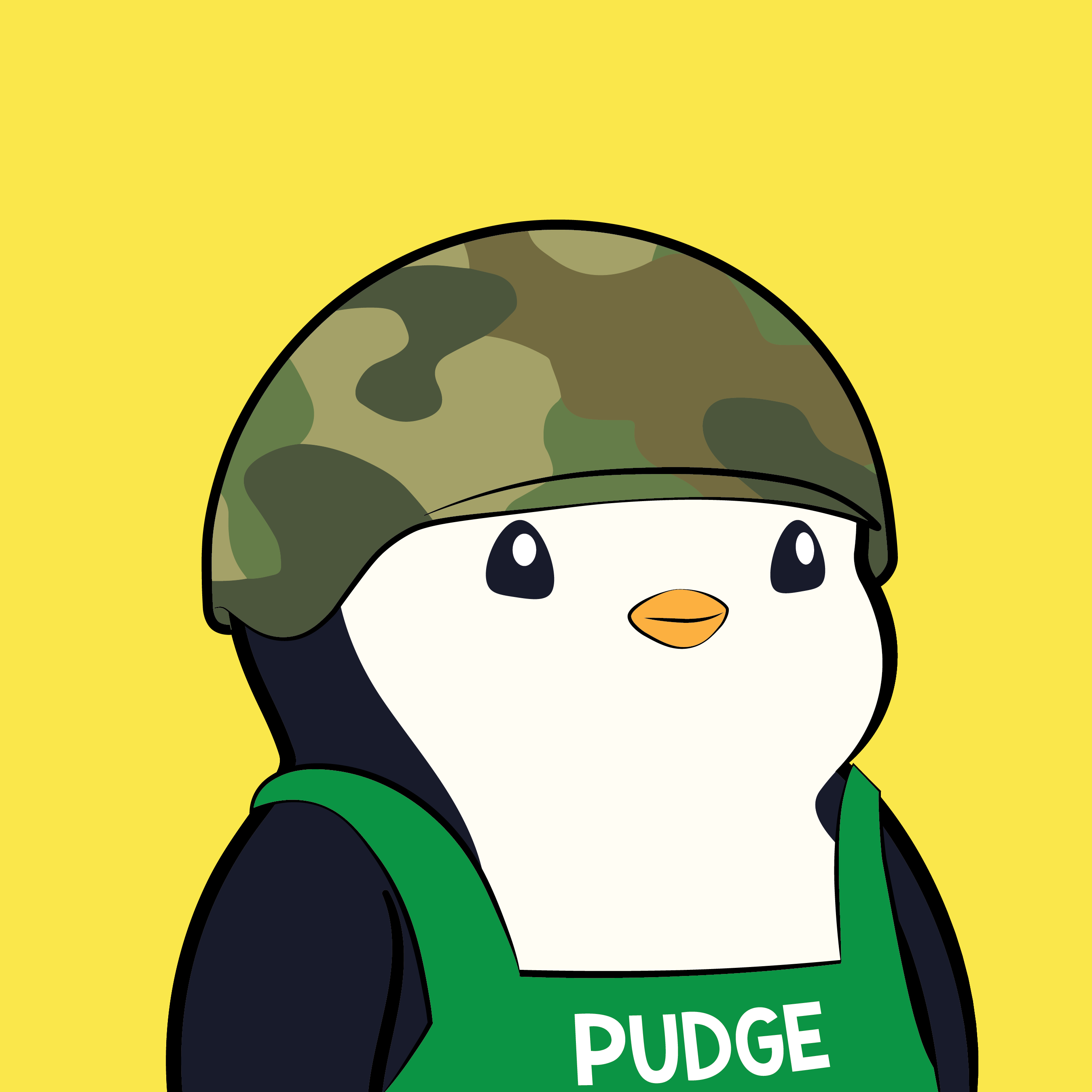 Pudgy Penguins - Pudgy Penguins - Pudgy Penguin #3484 - NFT # 3484