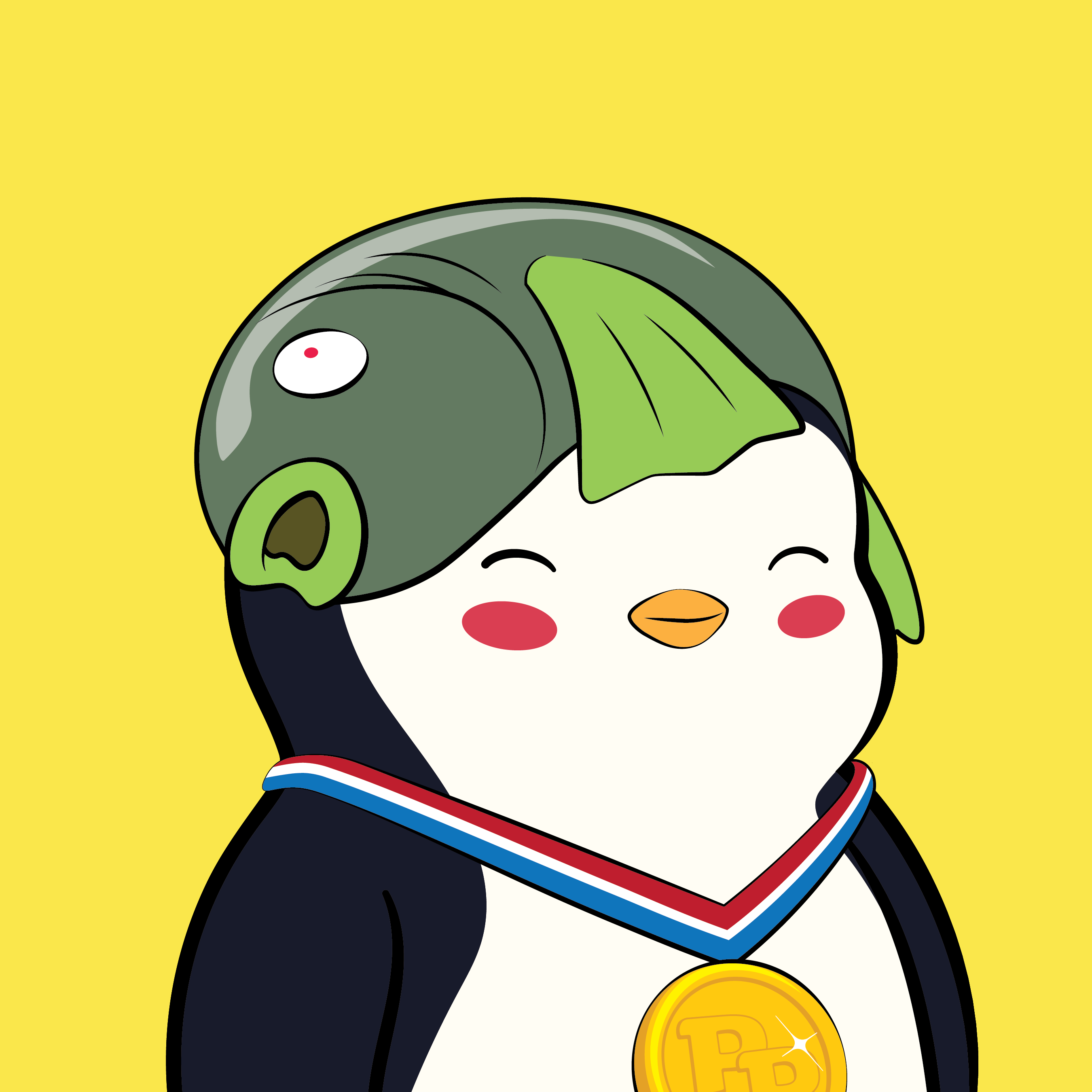 Pudgy Penguins - Pudgy Penguins - Pudgy Penguin #3494 - NFT # 3494