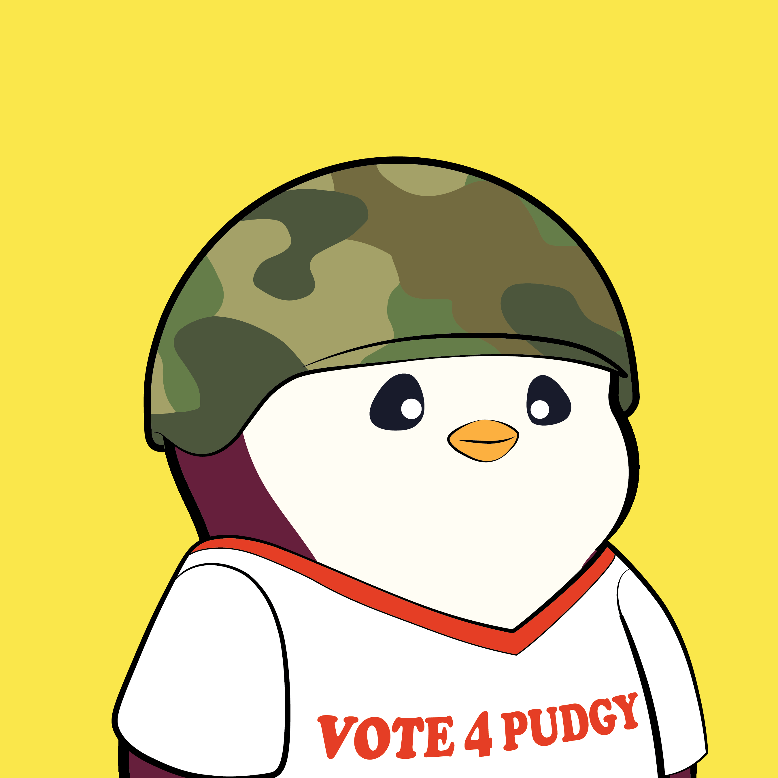 Pudgy Penguins - Pudgy Penguins - Pudgy Penguin #3582 - NFT # 3582