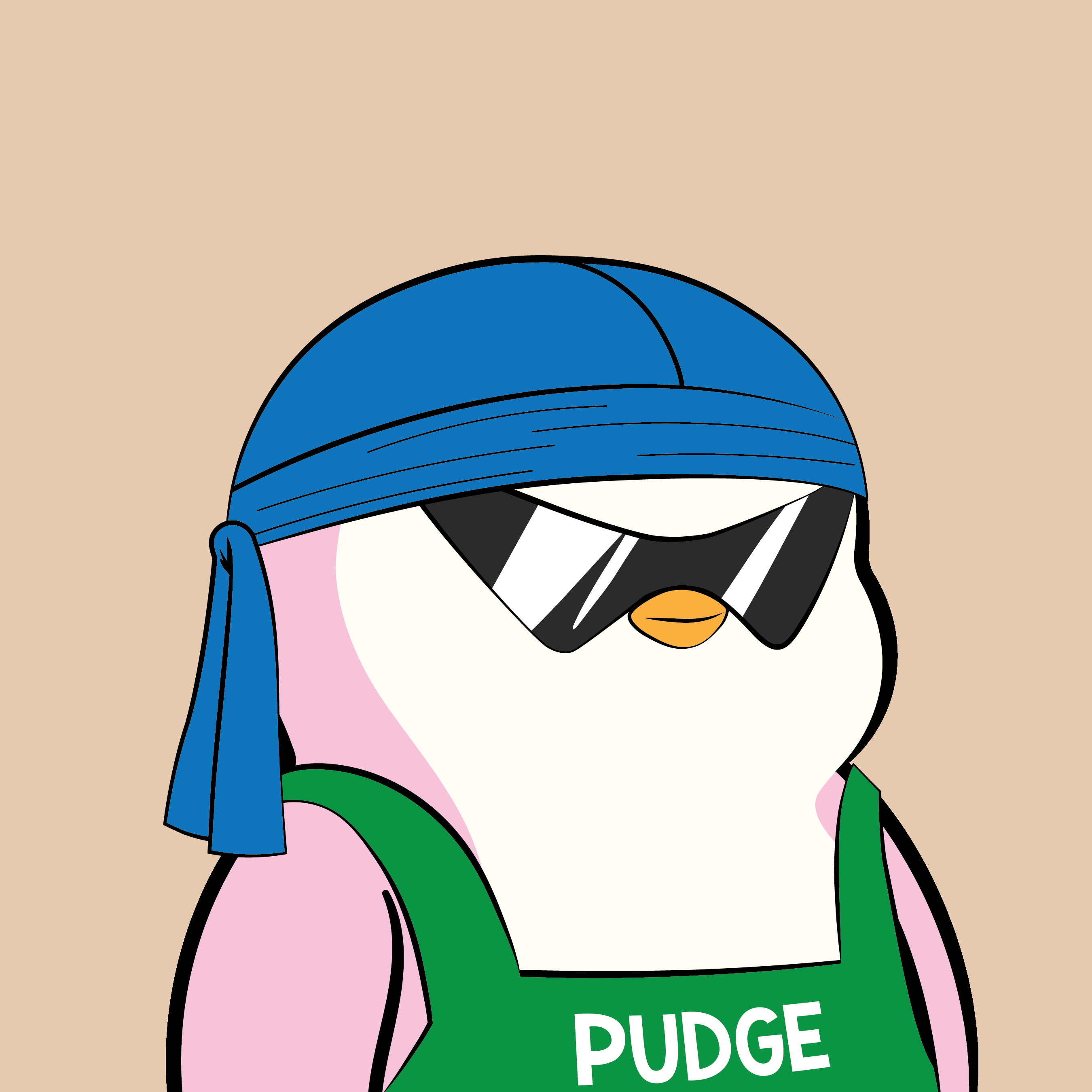 Pudgy Penguins - Pudgy Penguins - Pudgy Penguin #375 - NFT # 375