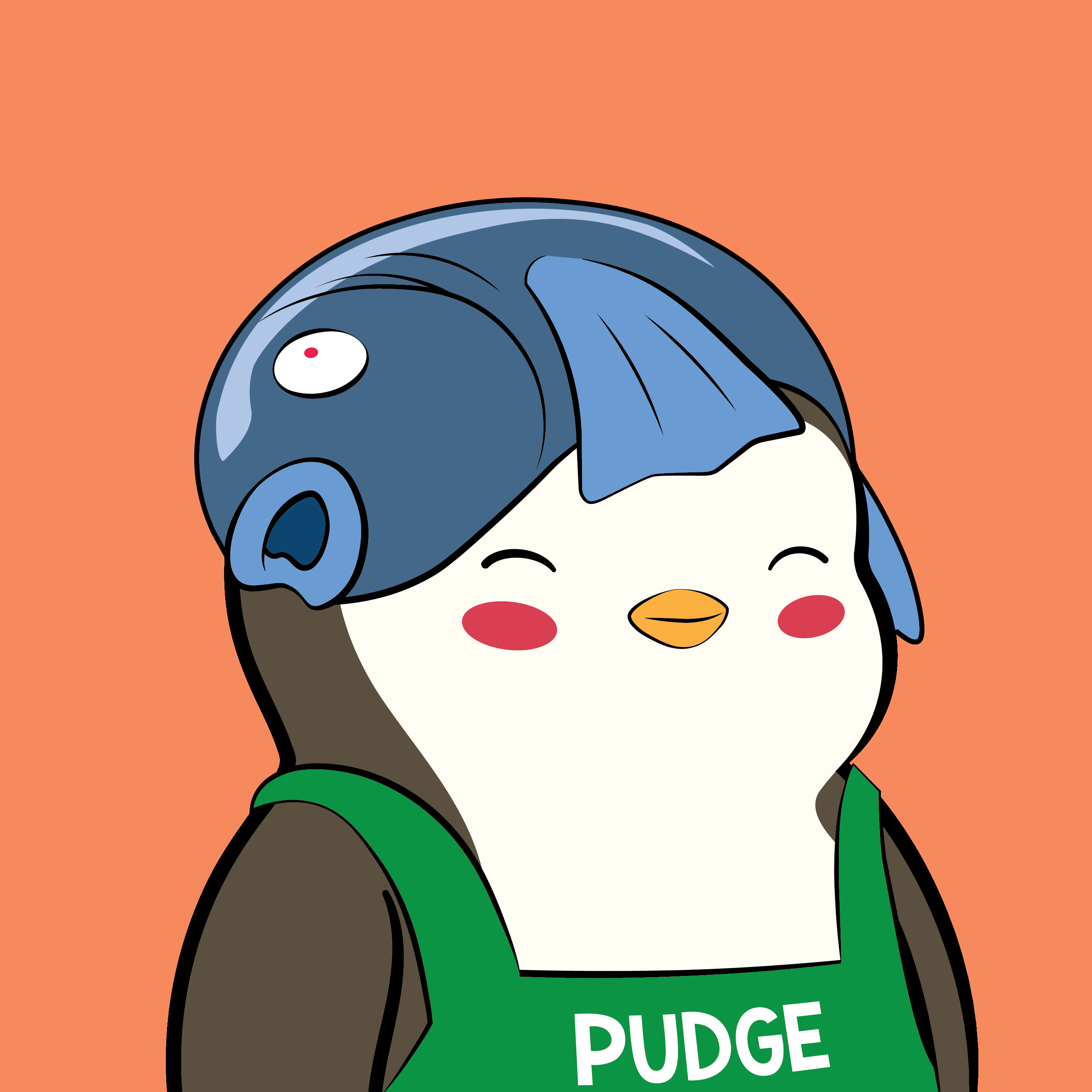 Pudgy Penguins - Pudgy Penguins - Pudgy Penguin #4242 - NFT # 4242