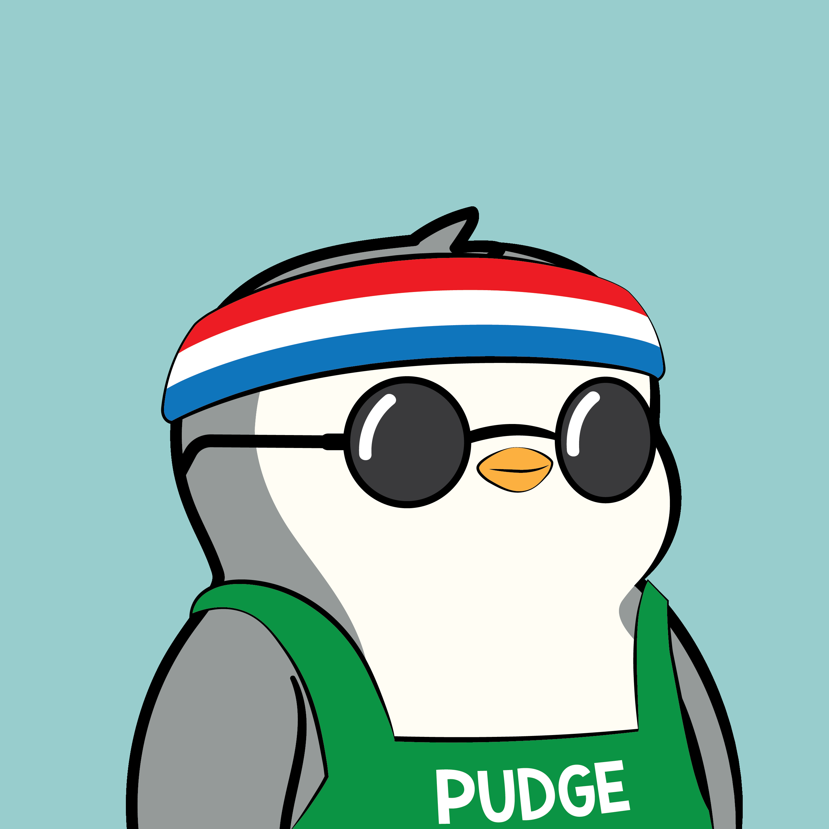 Pudgy Penguins - Pudgy Penguins - Pudgy Penguin #4670 - NFT # 4670