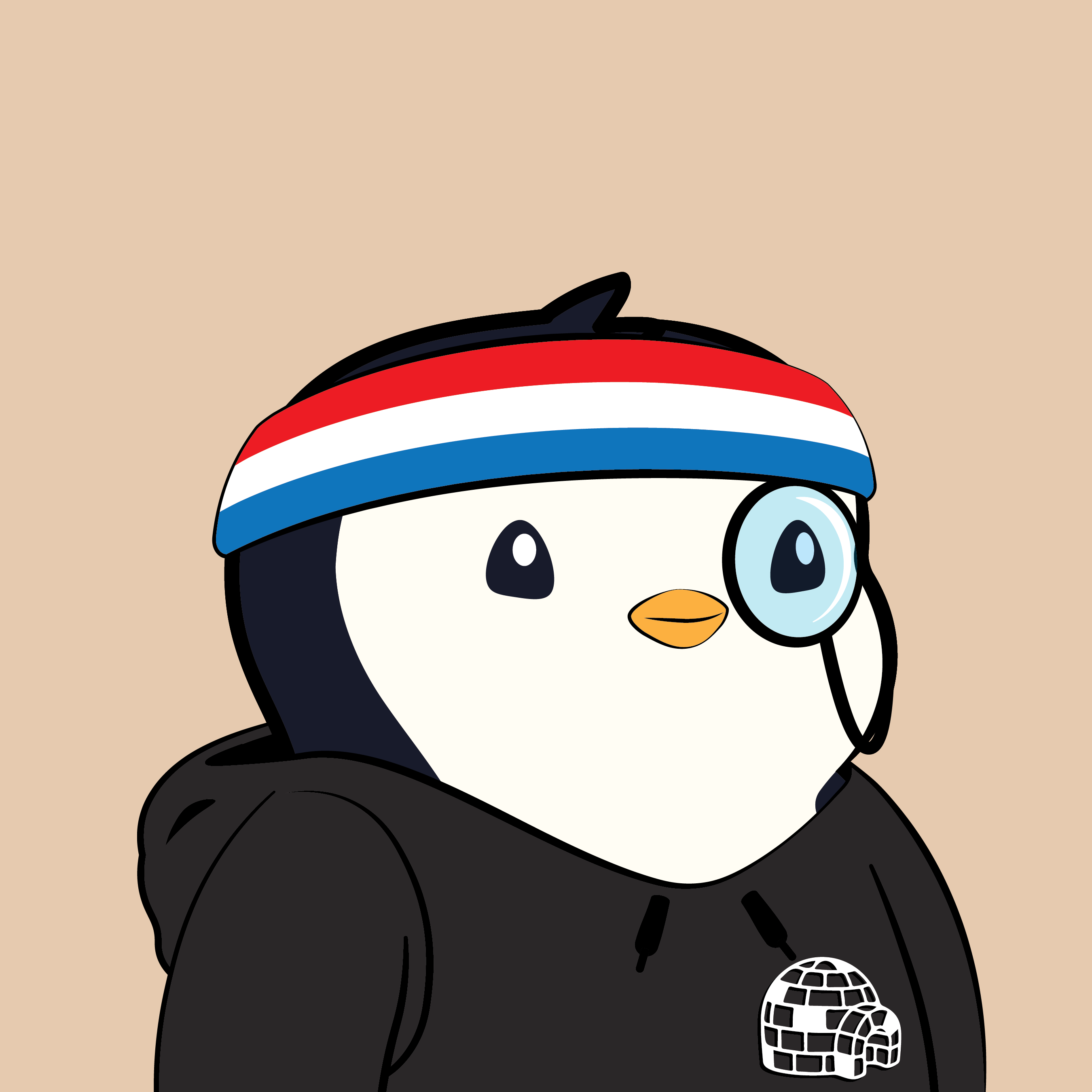 Pudgy Penguins - Pudgy Penguins - Pudgy Penguin #481 - NFT # 481