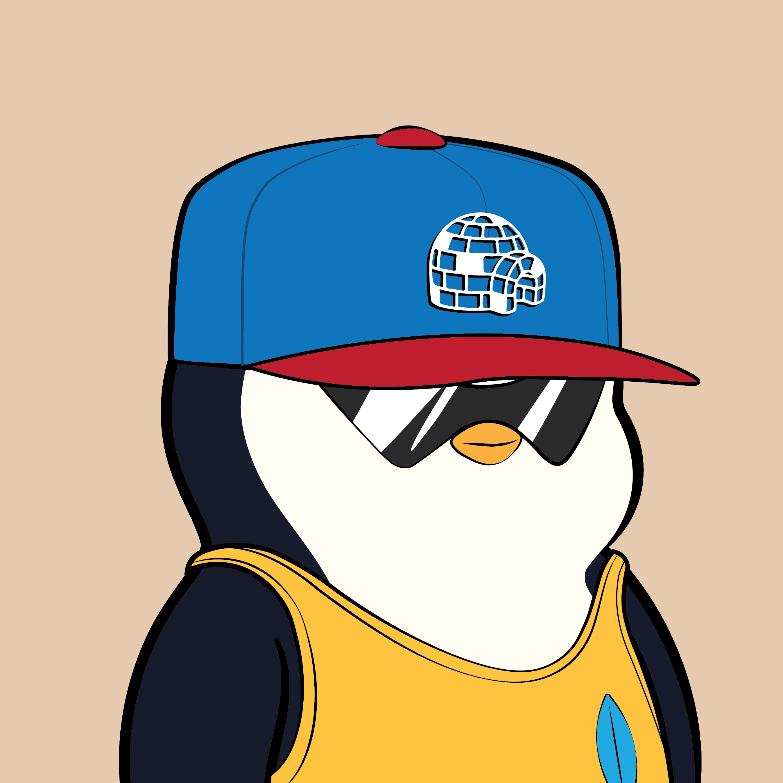 Pudgy Penguins - Pudgy Penguins - Pudgy Penguin #493 - NFT # 493