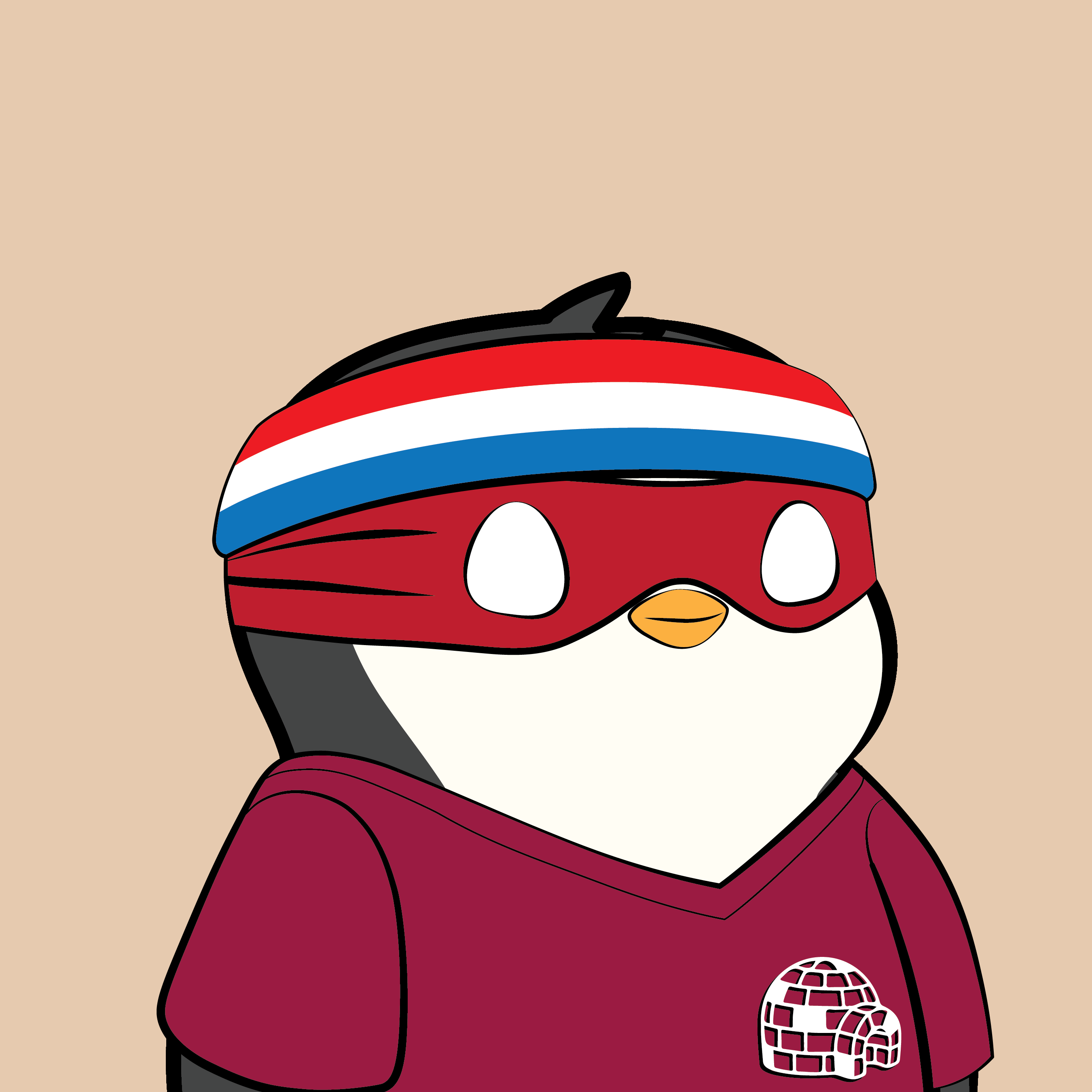 Pudgy Penguins - Pudgy Penguins - Pudgy Penguin #501 - NFT # 501