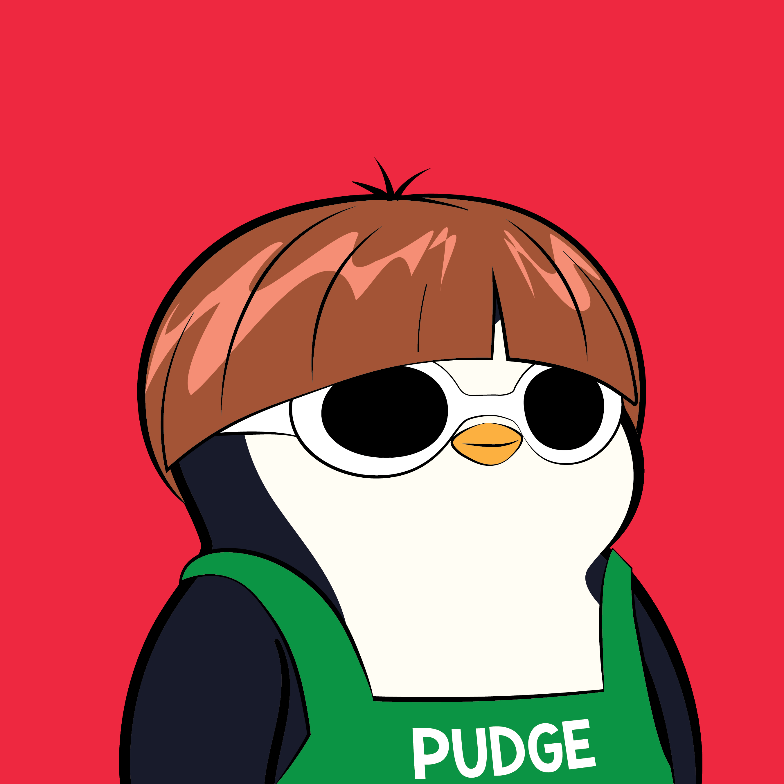 Pudgy Penguins - Pudgy Penguins - Pudgy Penguin #5119 - NFT # 5119