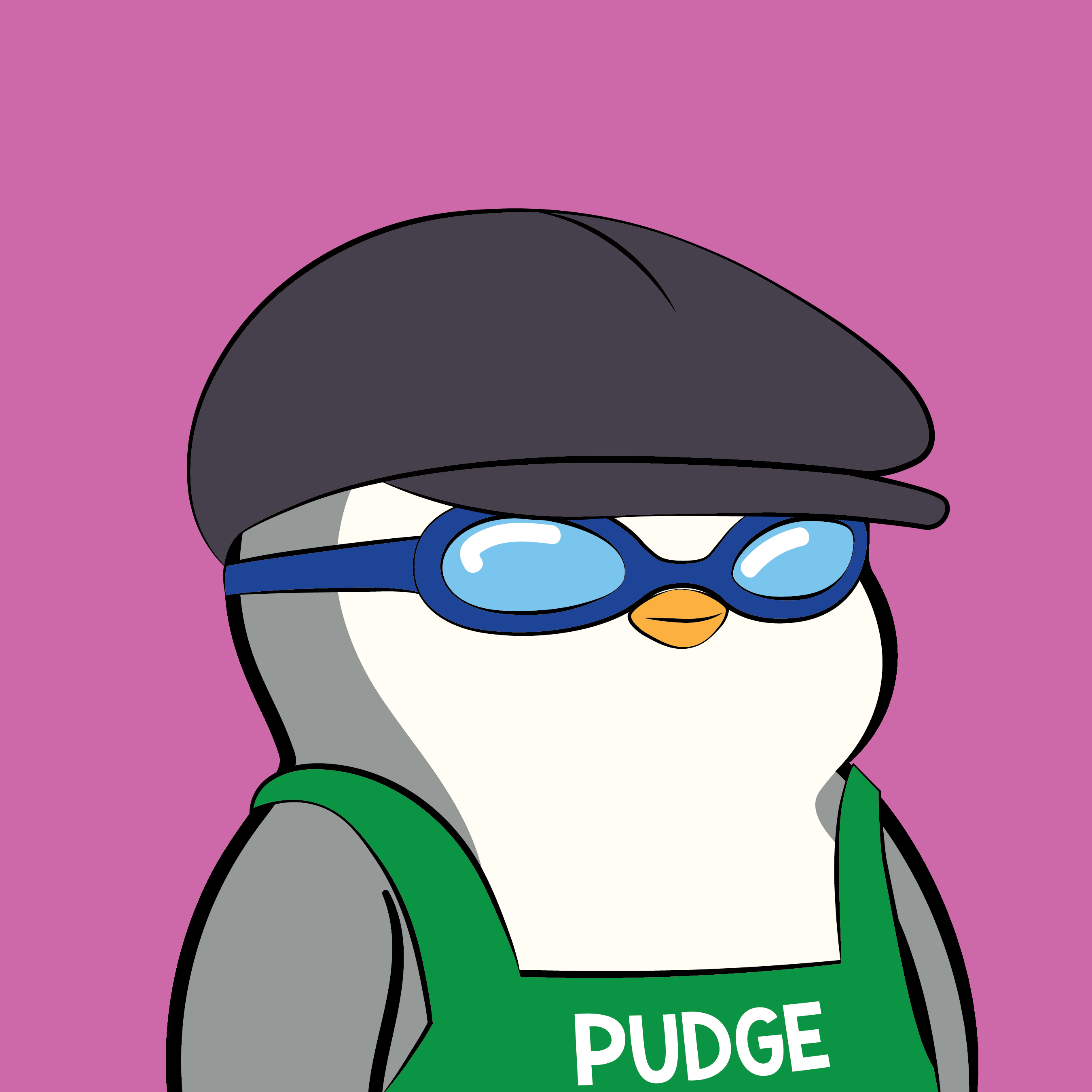 Pudgy Penguins - Pudgy Penguins - Pudgy Penguin #5191 - NFT # 5191