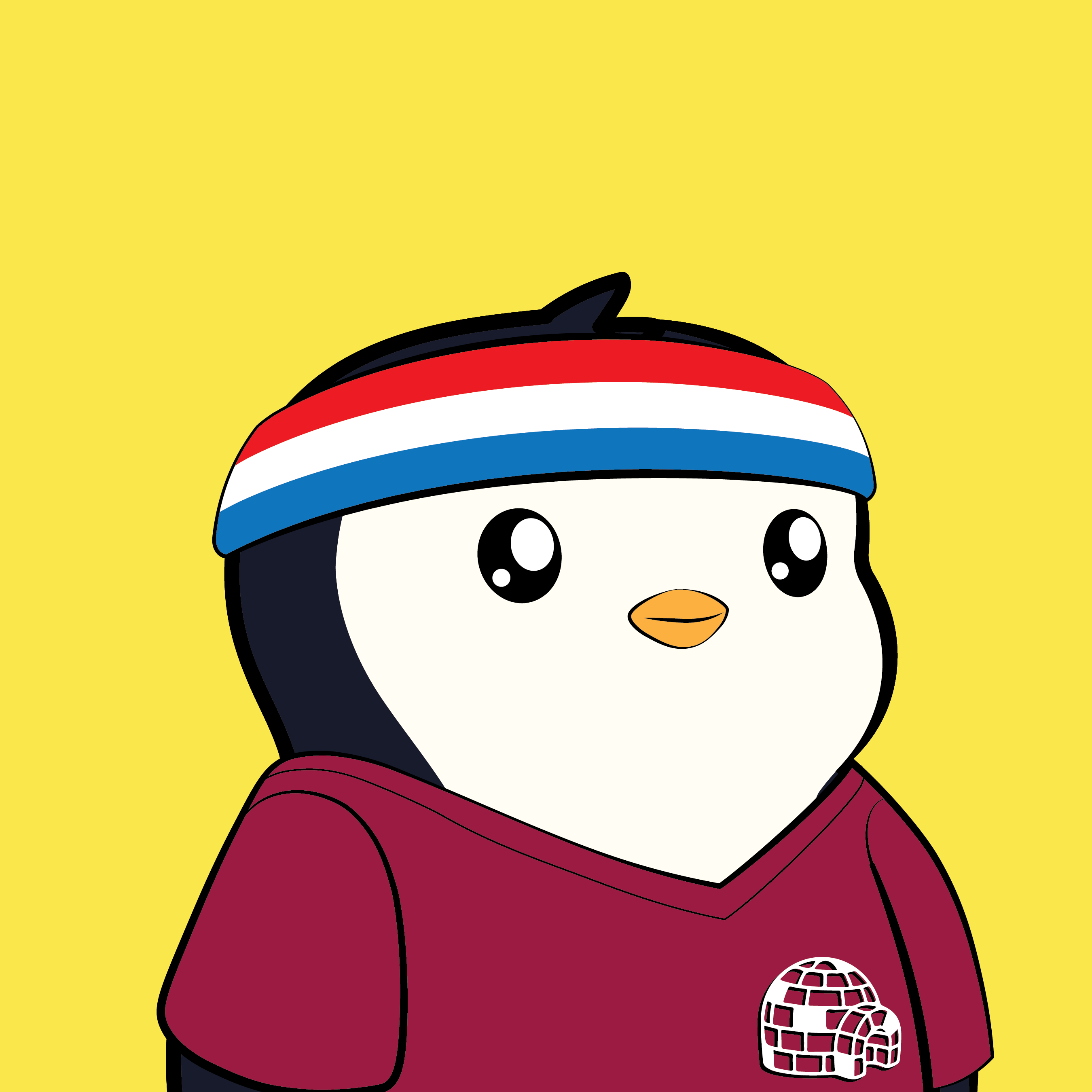 Pudgy Penguins - Pudgy Penguins - Pudgy Penguin #5214 - NFT # 5214
