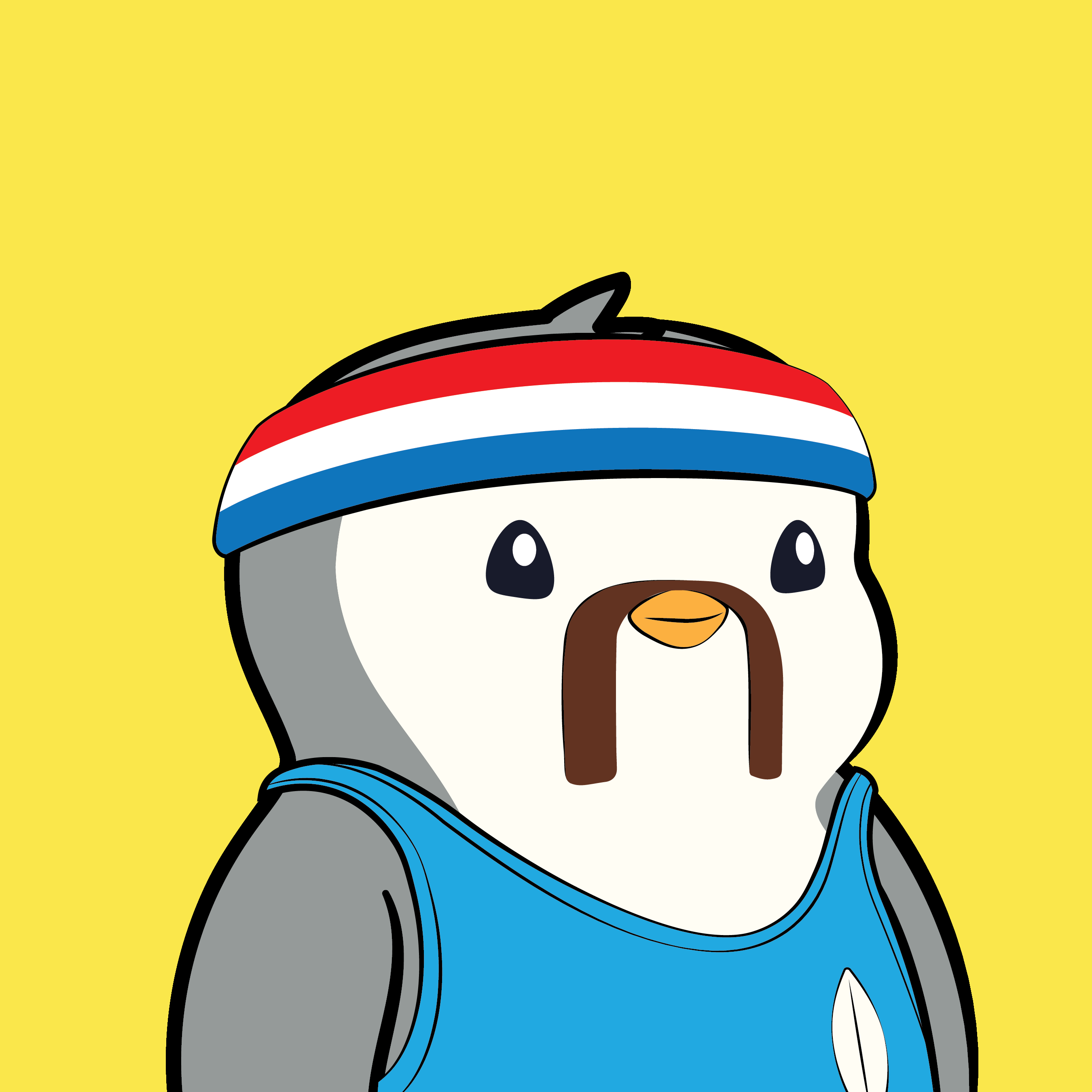 Pudgy Penguins - Pudgy Penguins - Pudgy Penguin #5226 - NFT # 5226