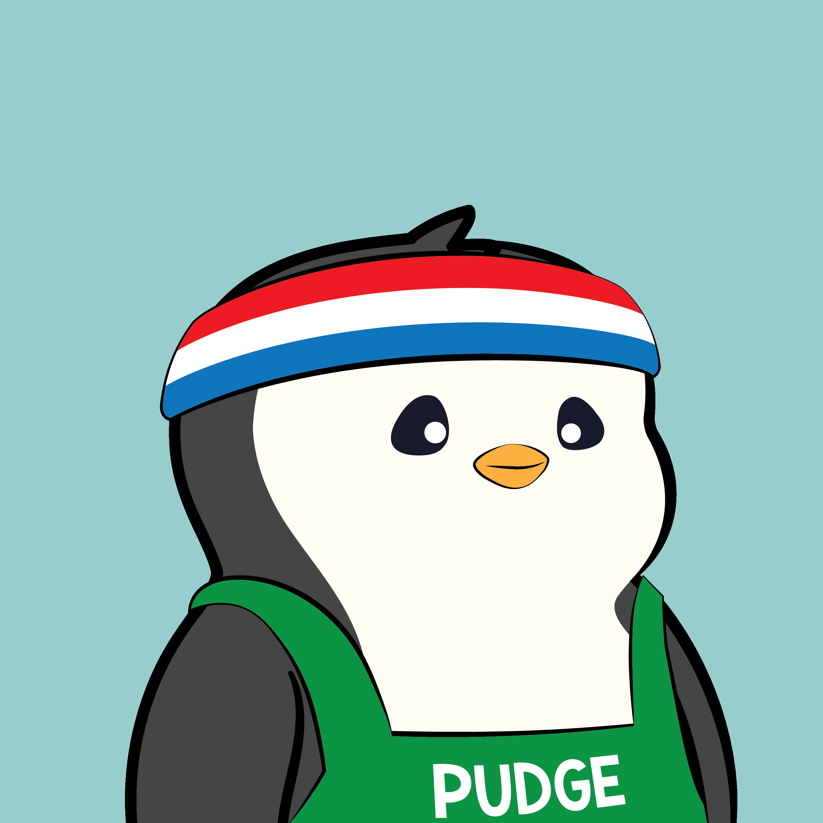 Pudgy Penguins - Pudgy Penguins - Pudgy Penguin #5272 - NFT # 5272