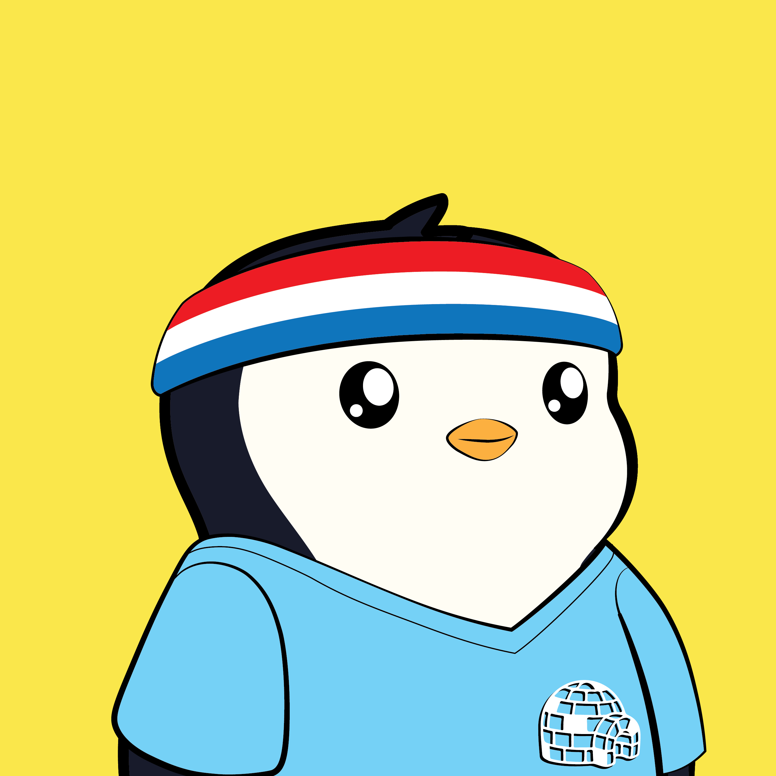 Pudgy Penguins - Pudgy Penguins - Pudgy Penguin #5290 - NFT # 5290