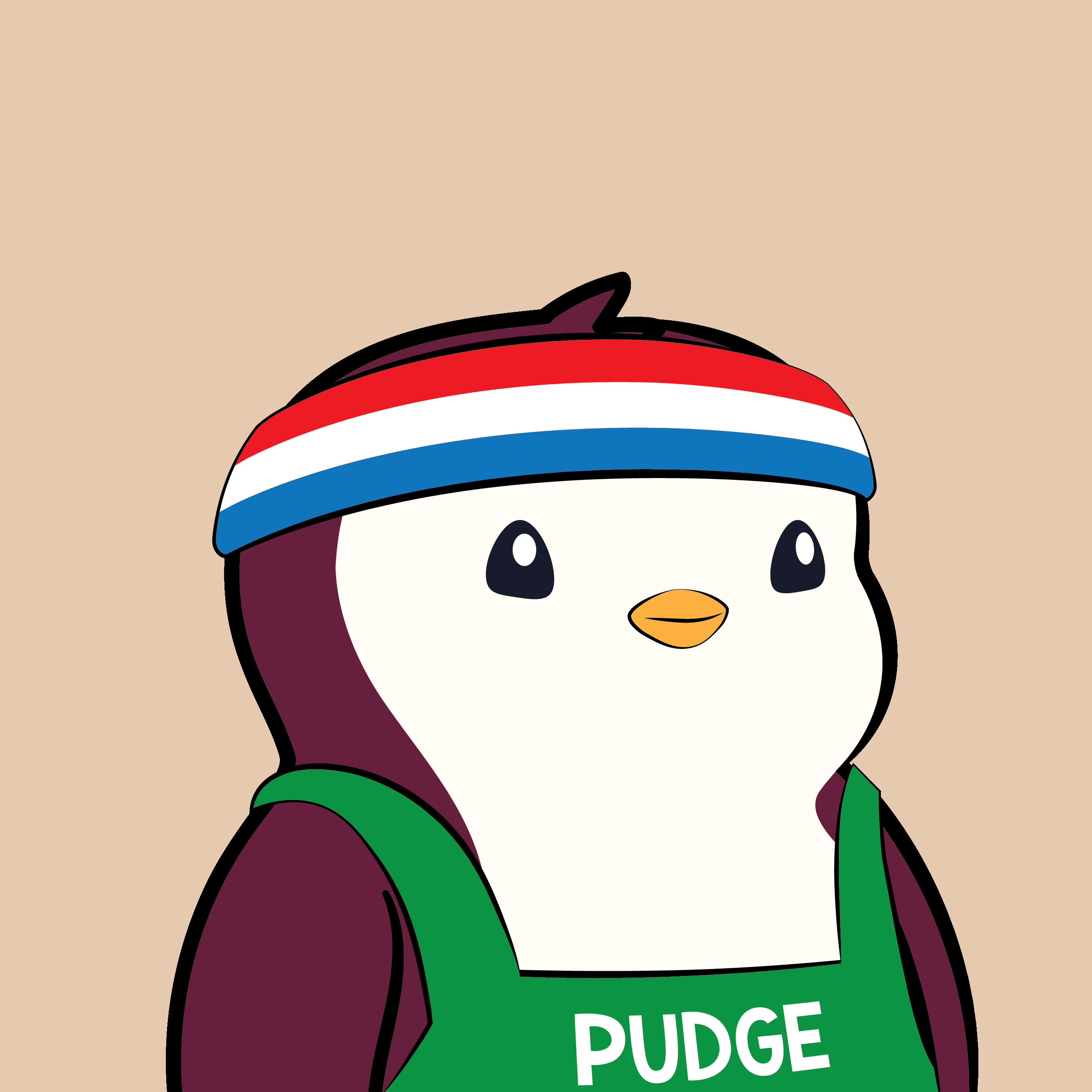 Pudgy Penguins - Pudgy Penguins - Pudgy Penguin #5419 - NFT # 5419
