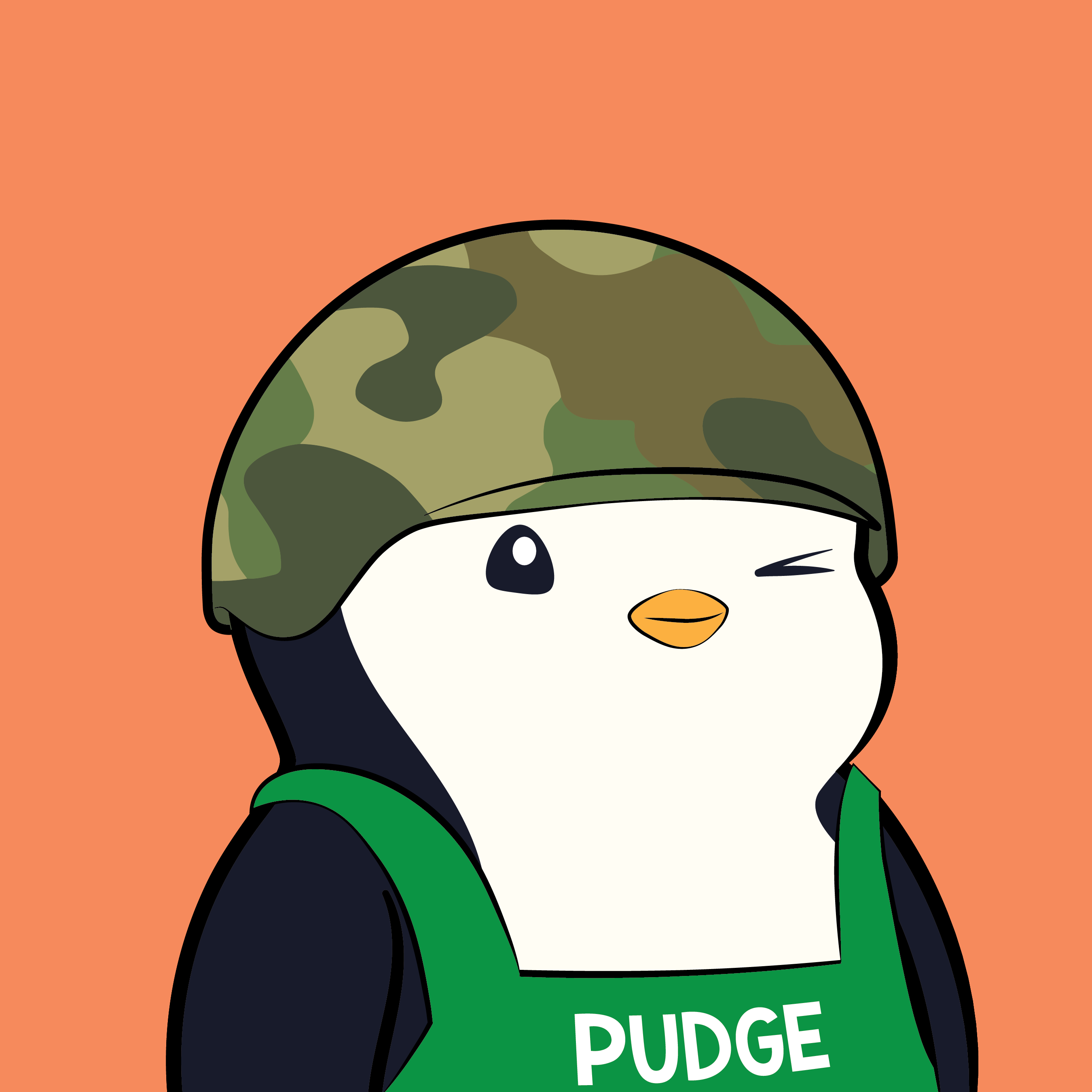 Pudgy Penguins - Pudgy Penguins - Pudgy Penguin #5530 - NFT # 5530