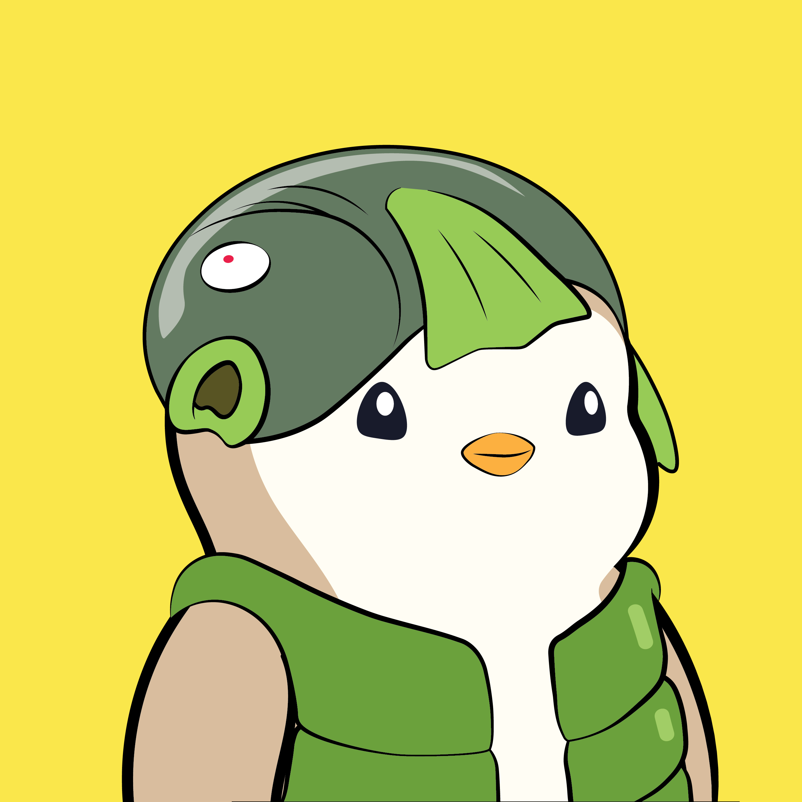 Pudgy Penguins - Pudgy Penguins - Pudgy Penguin #5767 - NFT # 5767