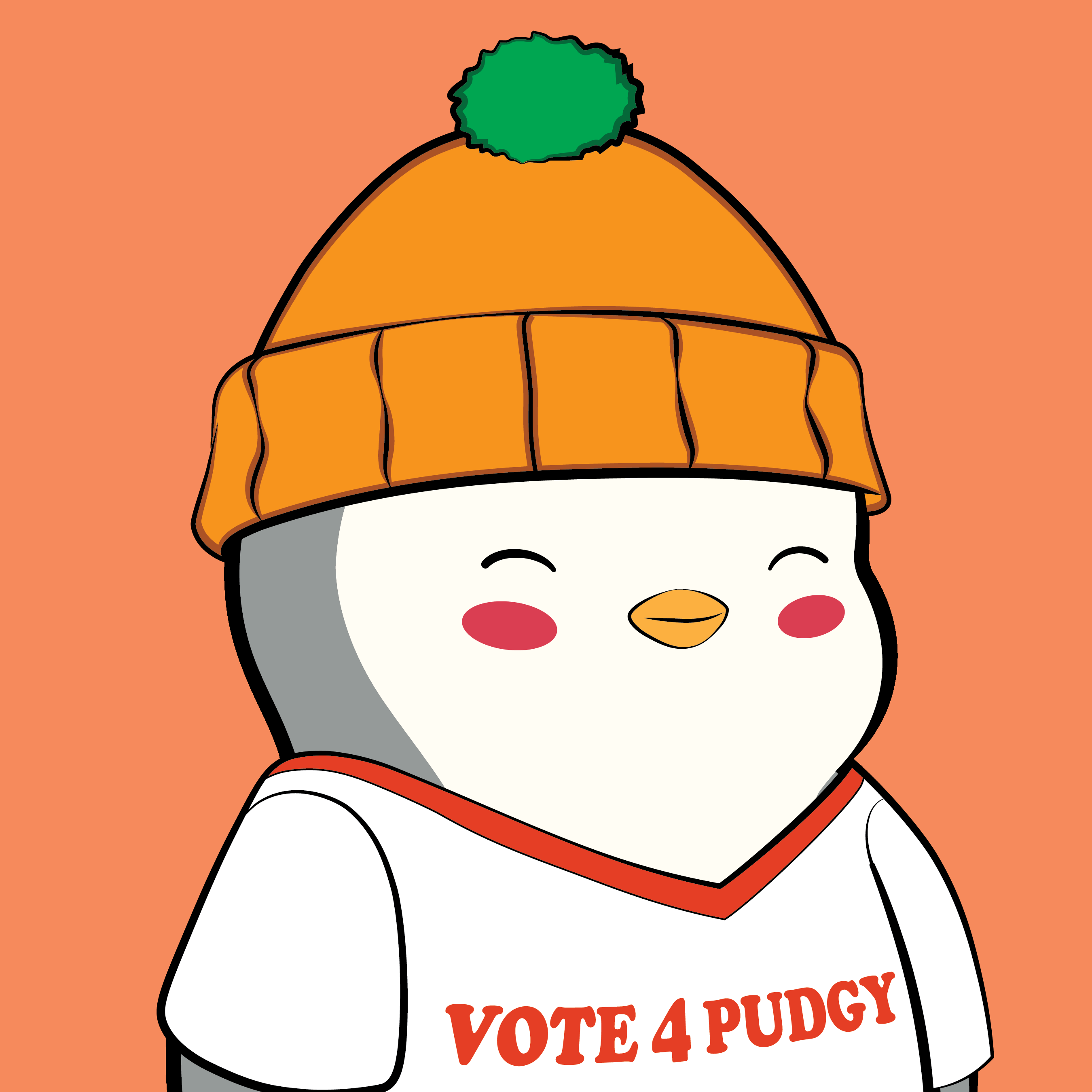 Pudgy Penguins - Pudgy Penguins - Pudgy Penguin #5800 - NFT # 5800