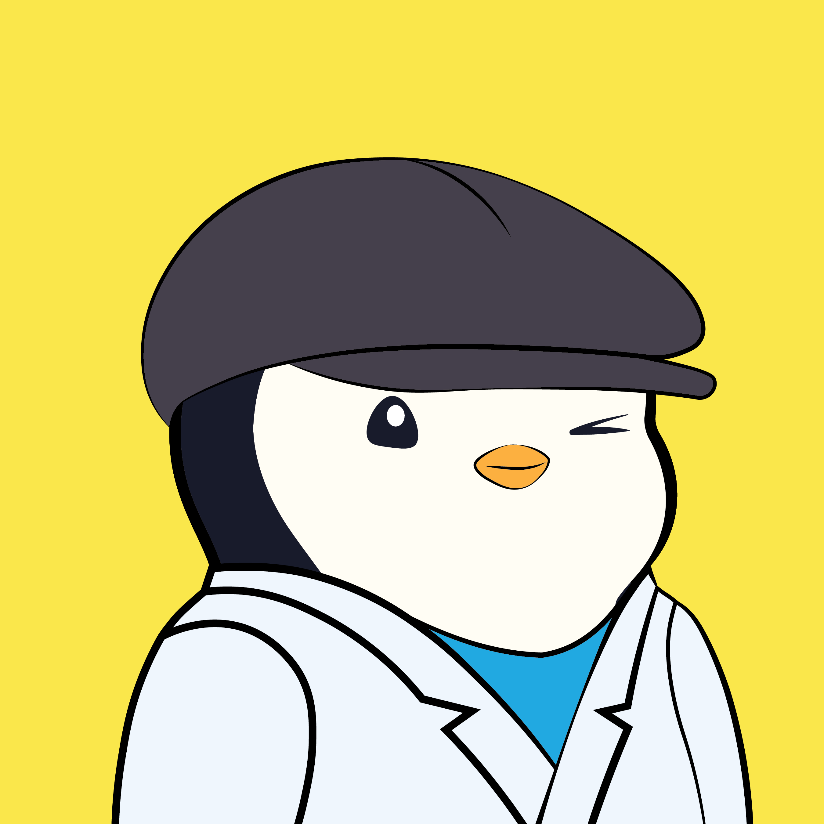 Pudgy Penguins - Pudgy Penguins - Pudgy Penguin #5804 - NFT # 5804