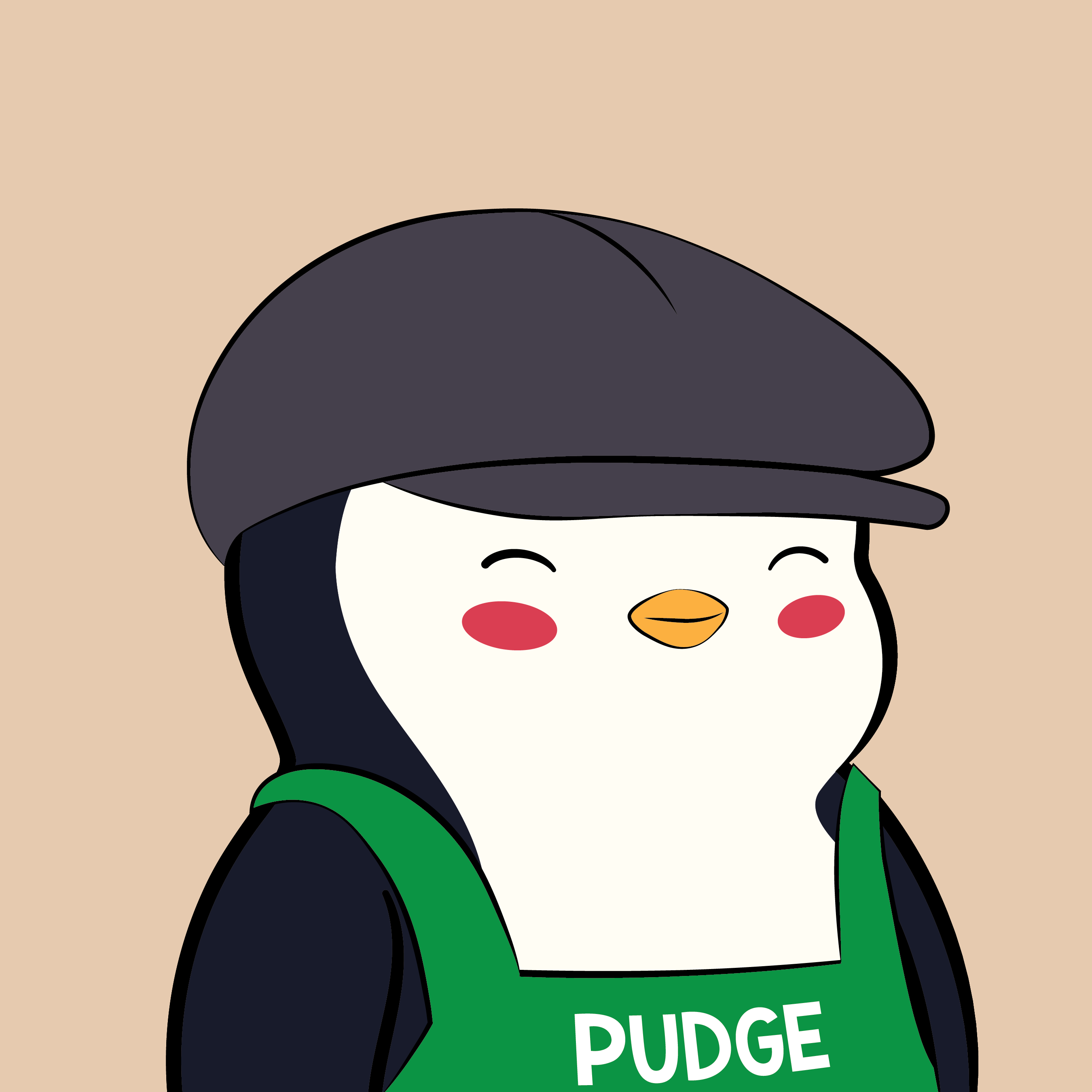 Pudgy Penguins - Pudgy Penguins - Pudgy Penguin #5851 - NFT # 5851