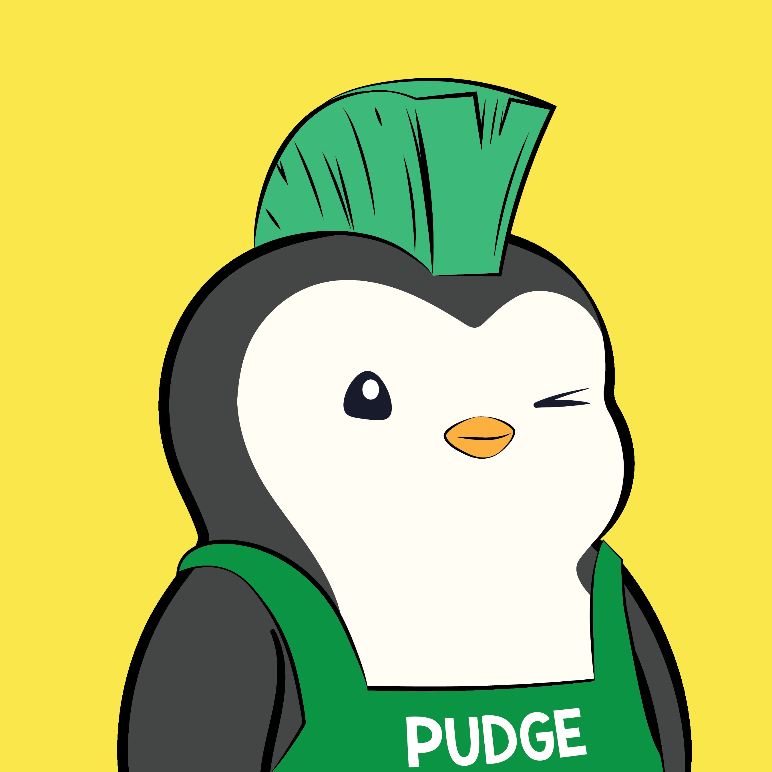 Pudgy Penguins - Pudgy Penguins - Pudgy Penguin #5871 - NFT # 5871