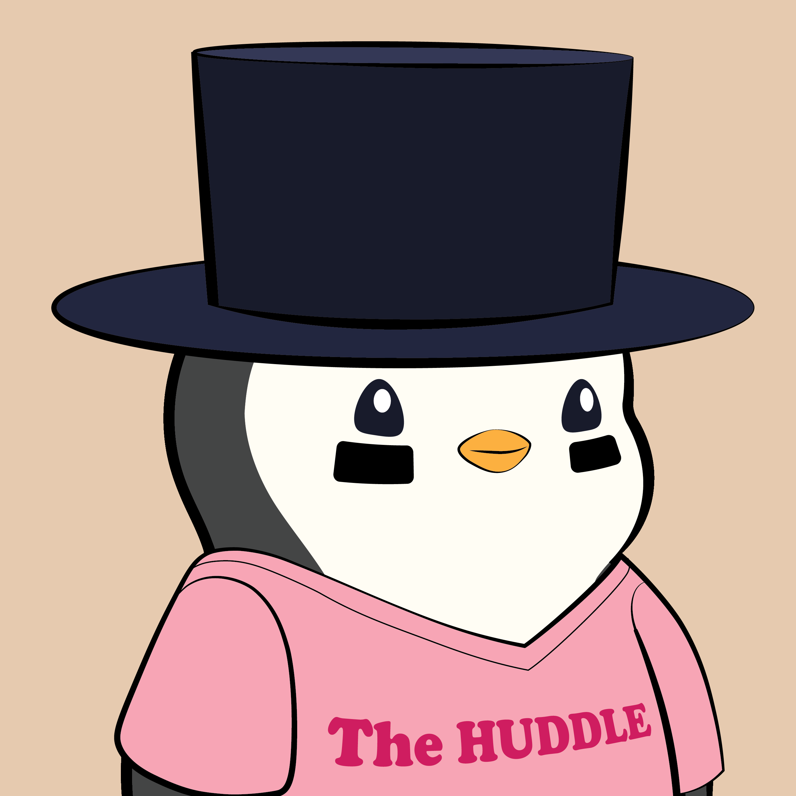 Pudgy Penguins - Pudgy Penguins - Pudgy Penguin #5898 - NFT # 5898