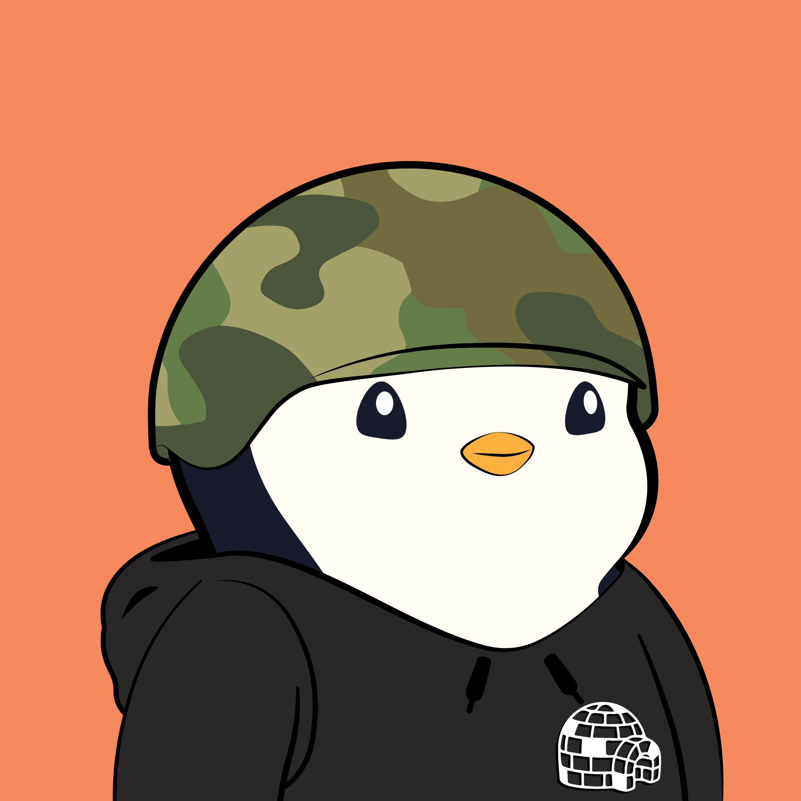 Pudgy Penguins - Pudgy Penguins - Pudgy Penguin #5923 - NFT # 5923