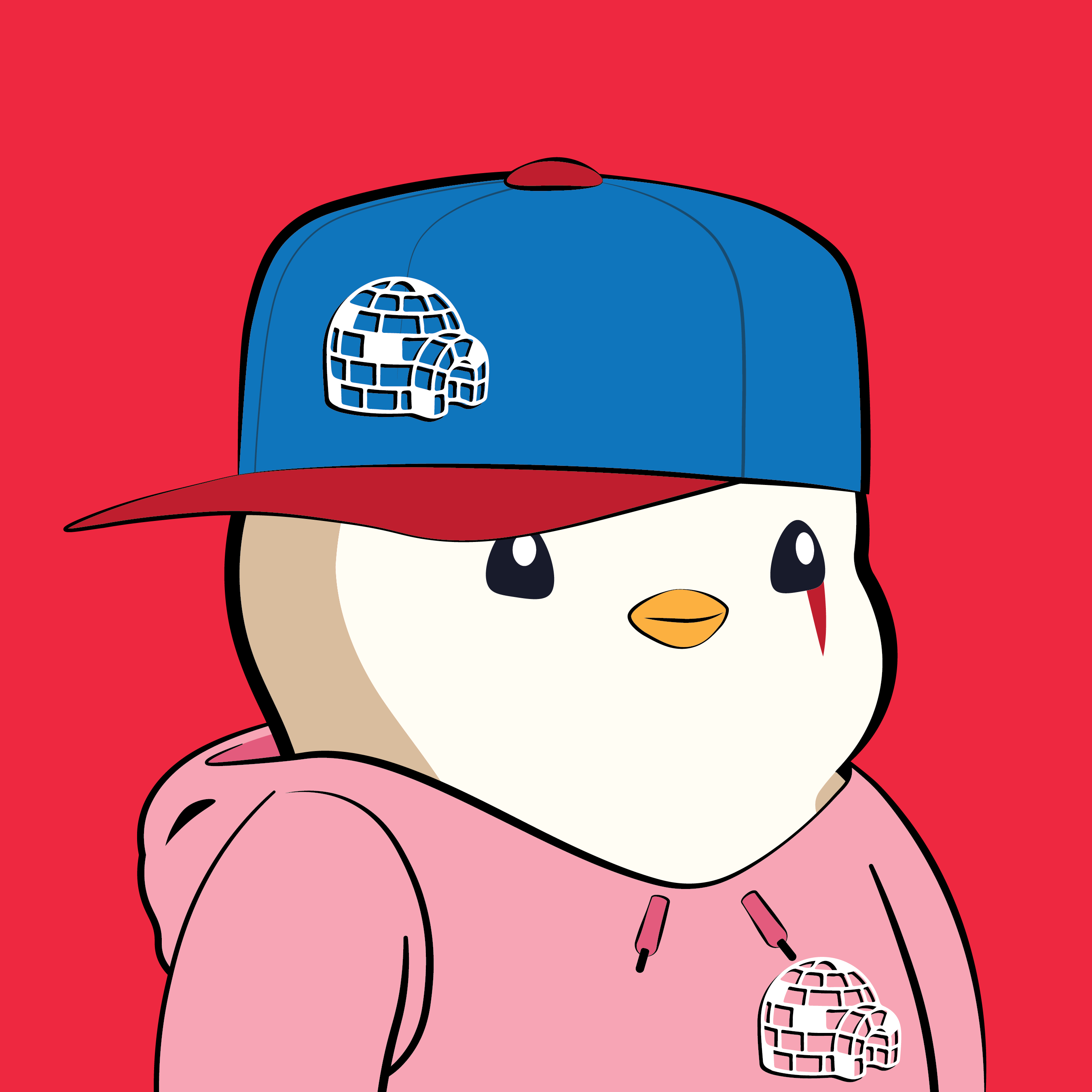 Pudgy Penguins - Pudgy Penguins - Pudgy Penguin #6060 - NFT # 6060